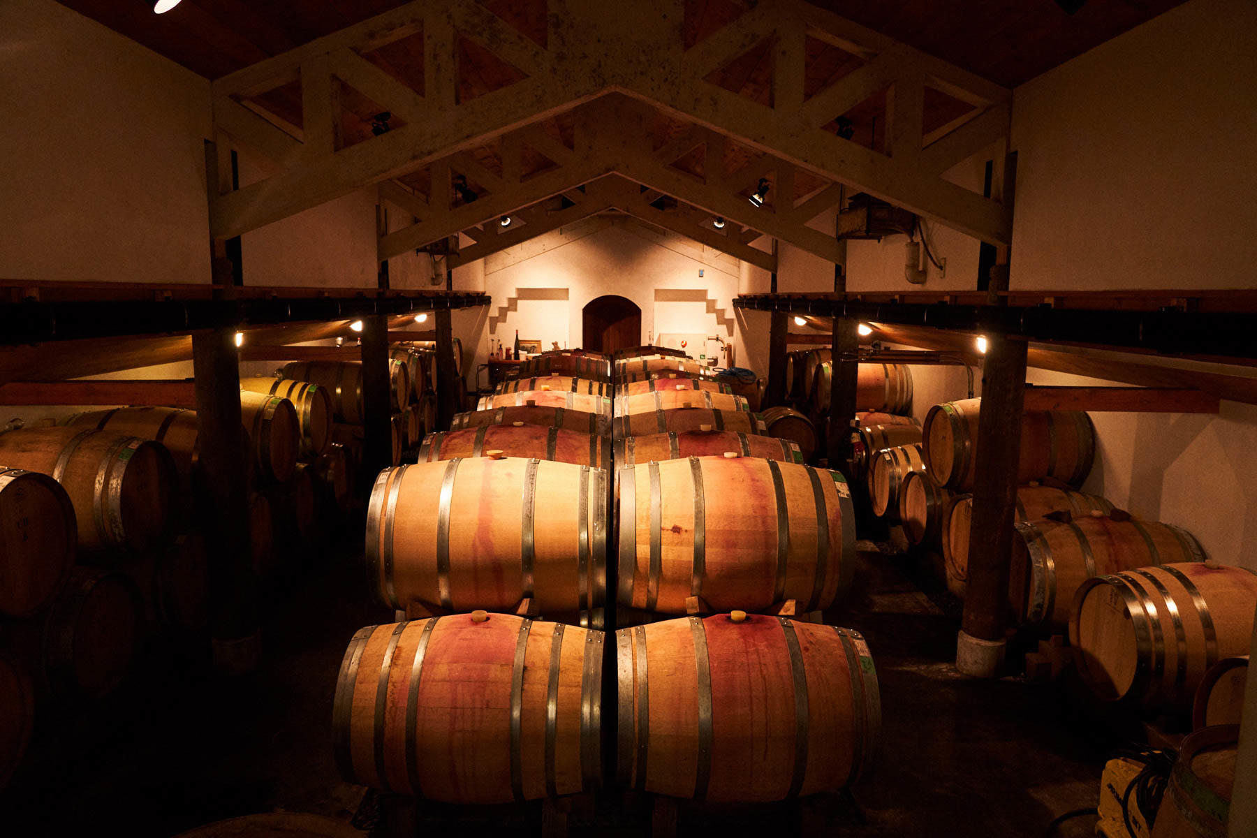 たくさんのワイン樽