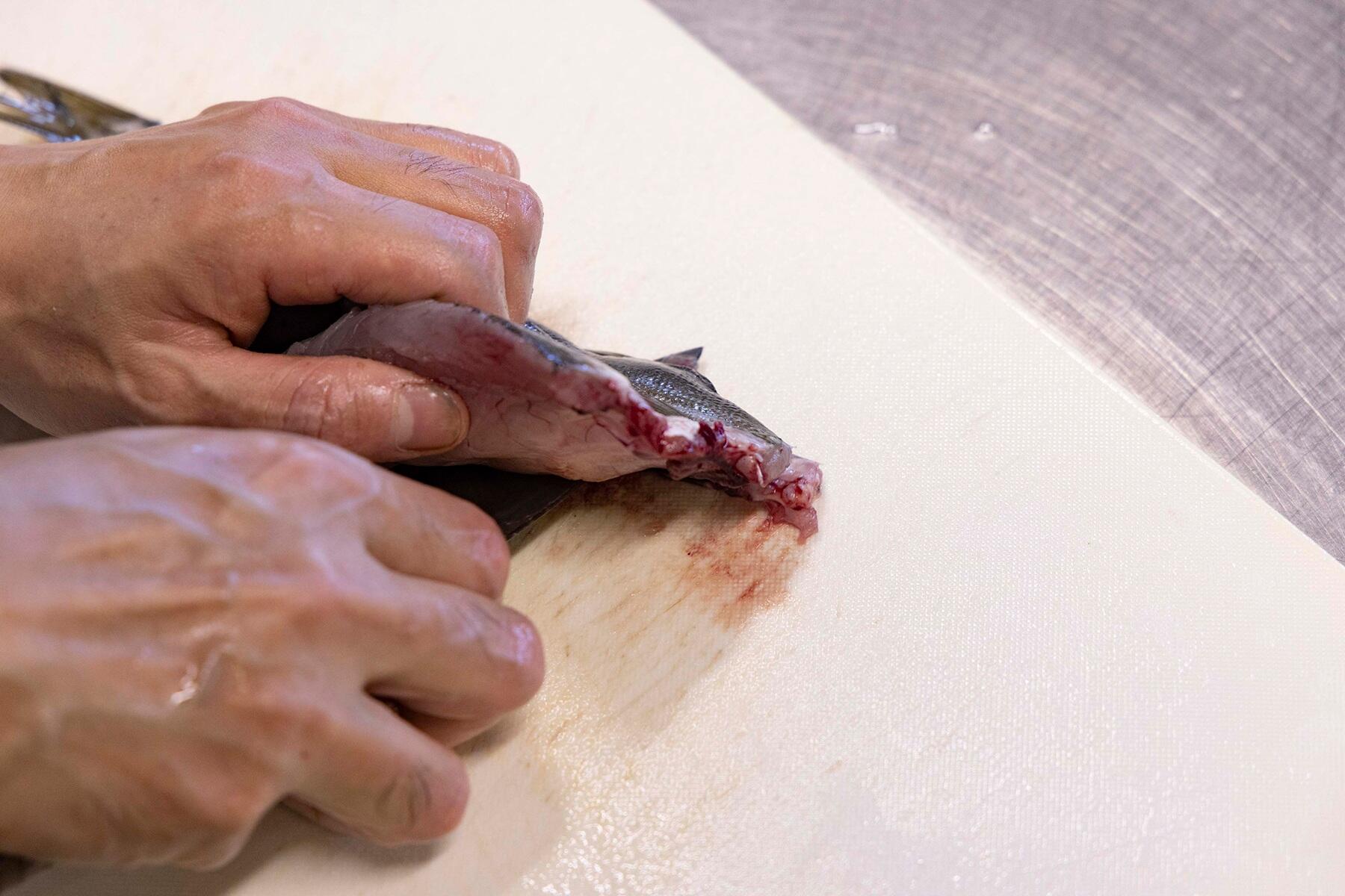 背骨を取り外す