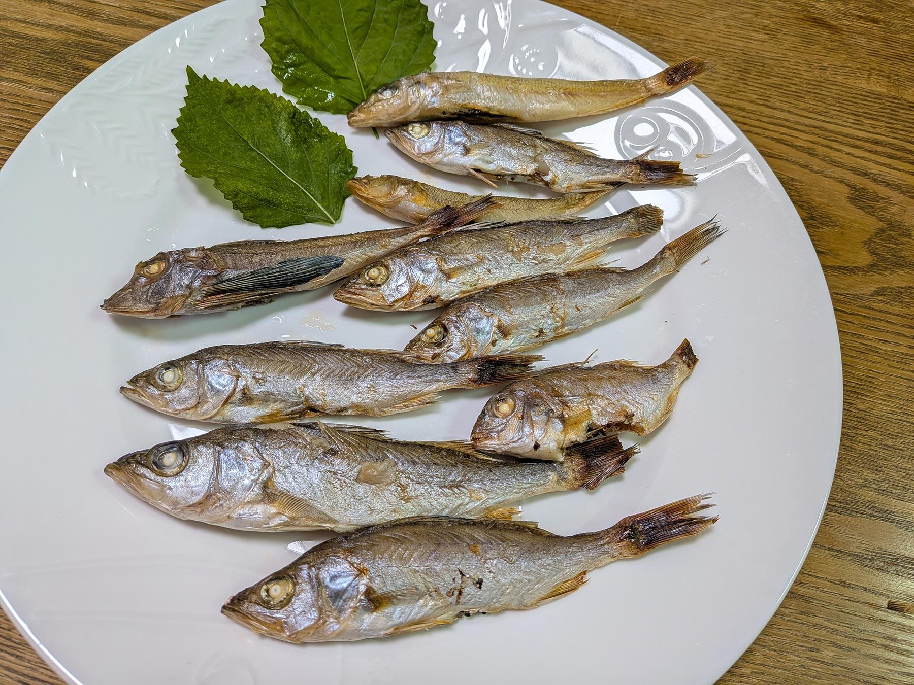 大宮冬洋の干物日記