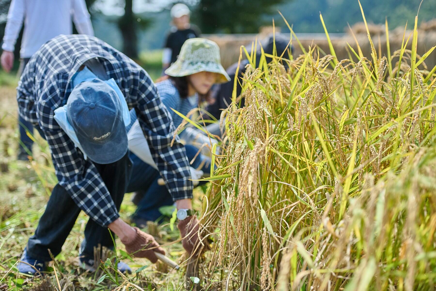 イベントの様子