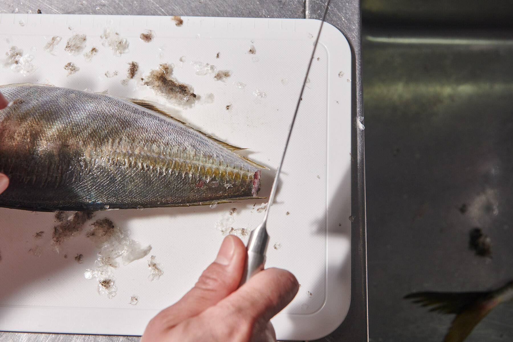 包丁の背で、身のウロコを取り、尾を落とす。