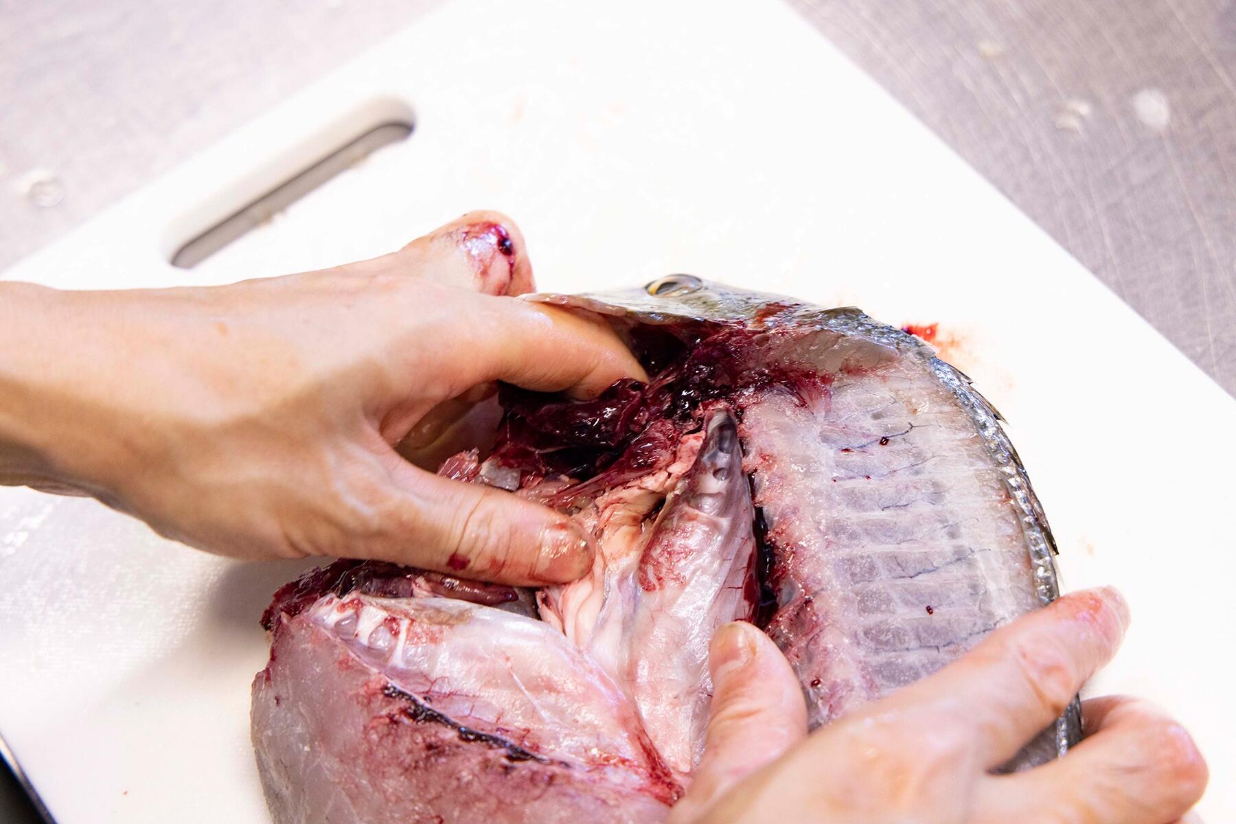 内臓を取り外す