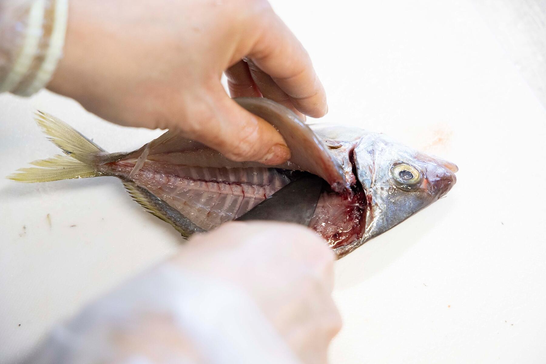 さらに深く包丁を入れる