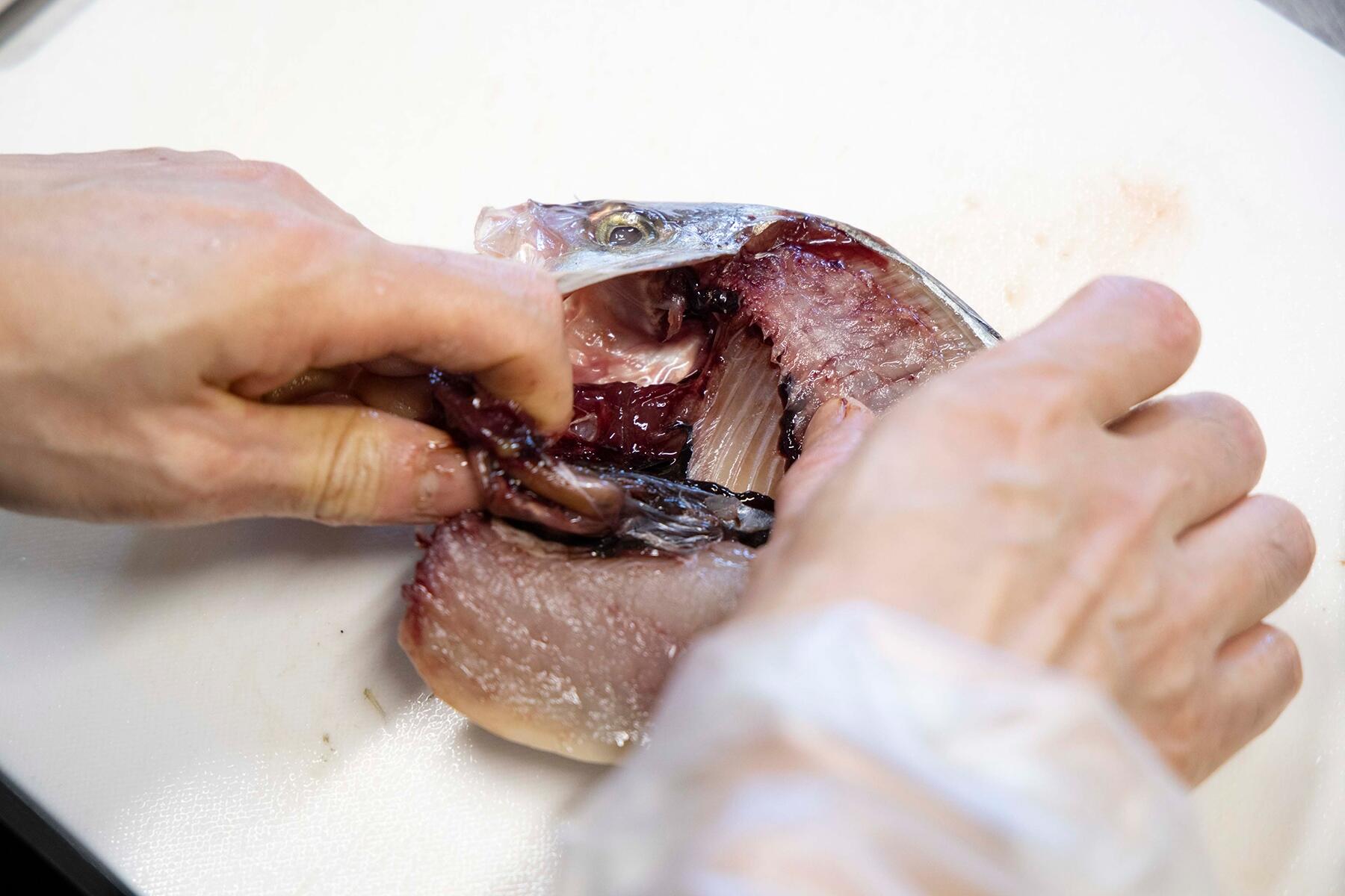 えらごと内臓をかき出す