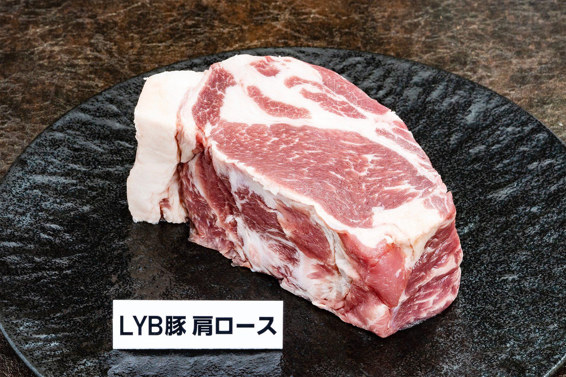 LYB豚