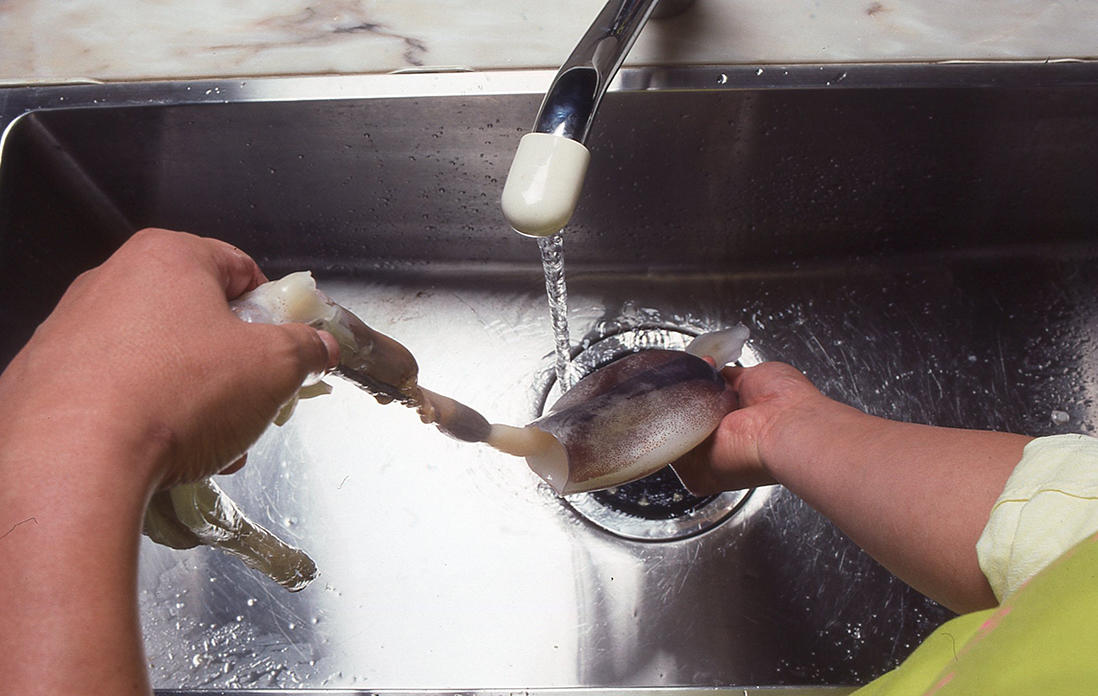 イカの胴の下ごしらえ