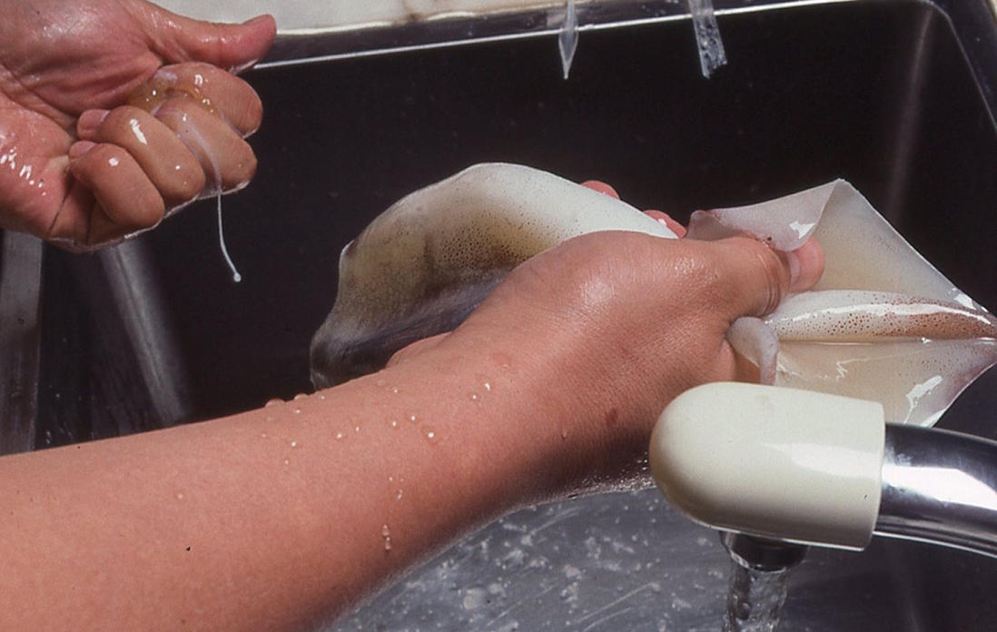 イカの胴の下ごしらえ