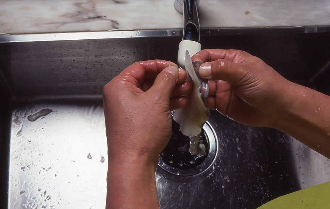 イカの胴の下ごしらえ