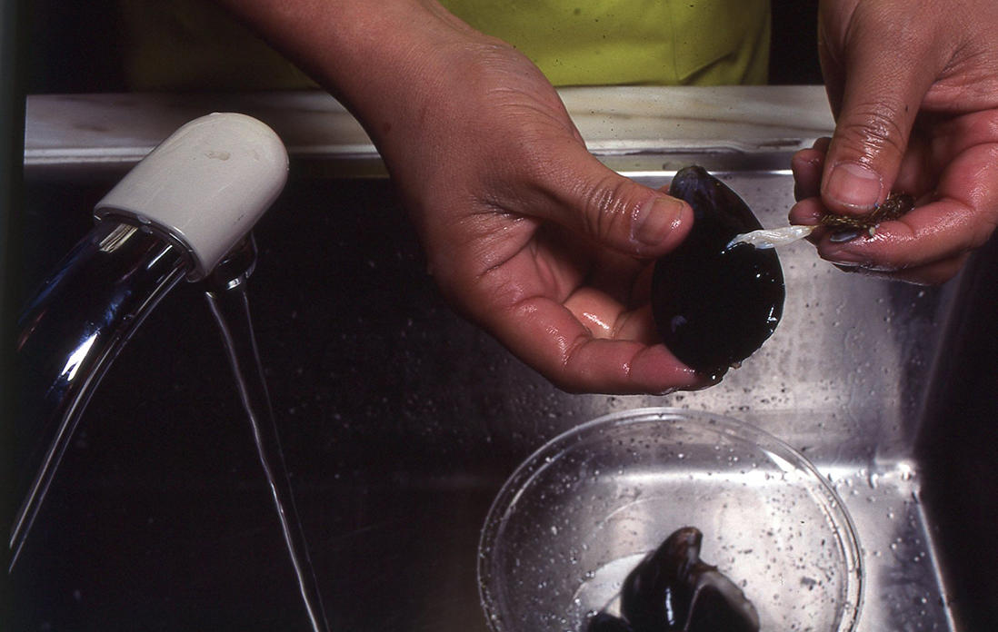 「本格的に弟子入りして、大阪に支店を出そうかな」と軽口をたたく掛布さん。