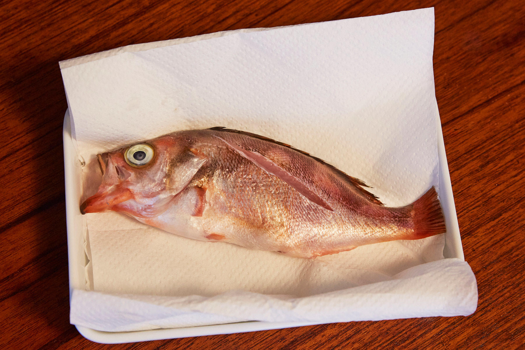 魚の余分な水分を抜く