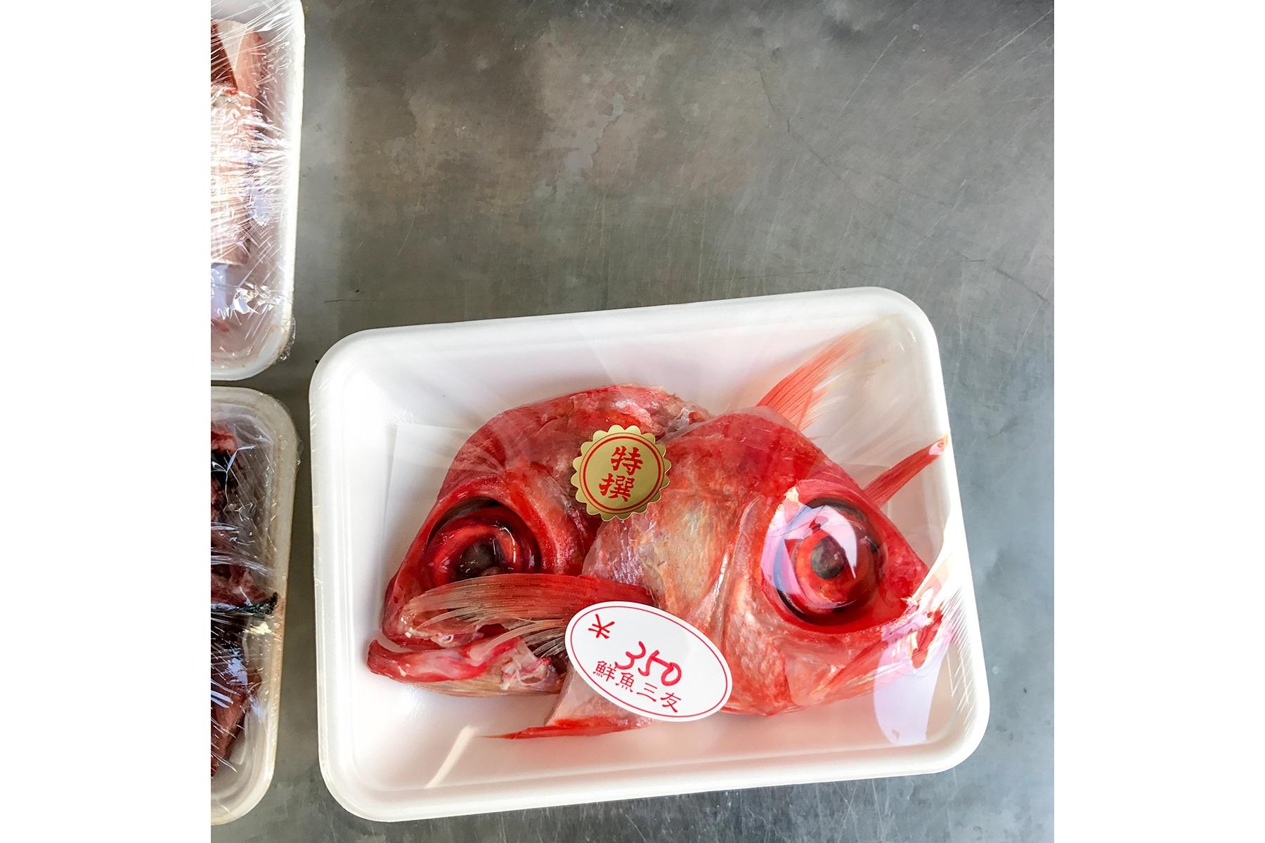 大森さんの写真