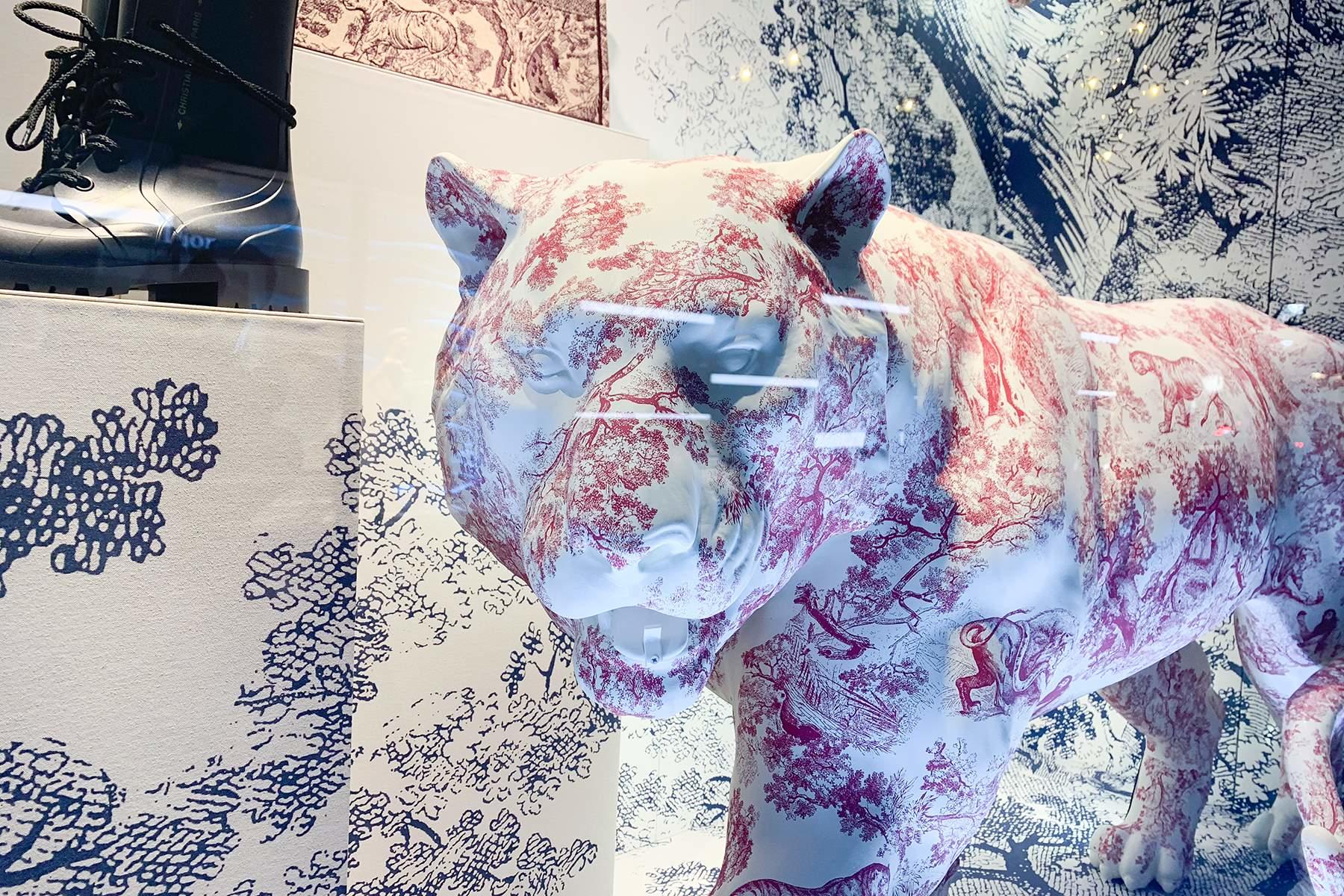 大森さんの写真