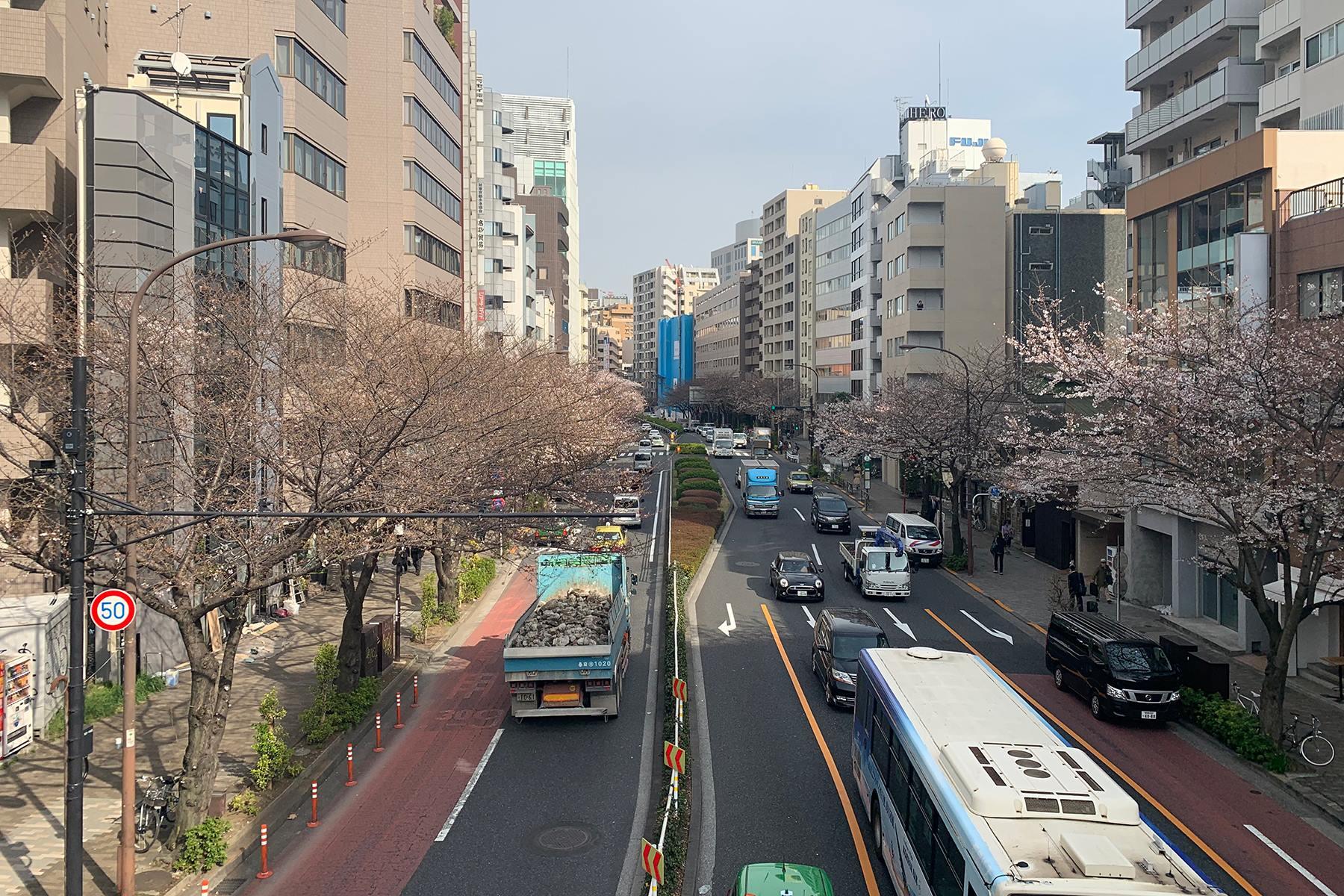 大森さんの写真