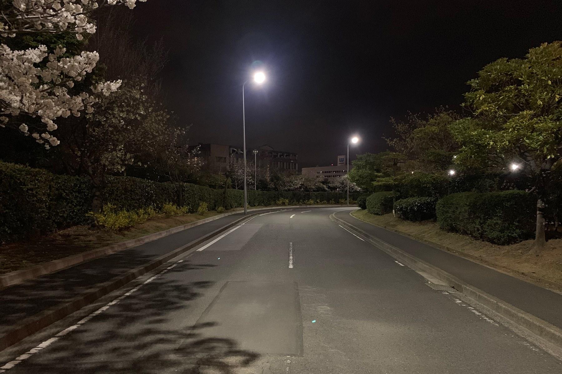 大森さんの写真