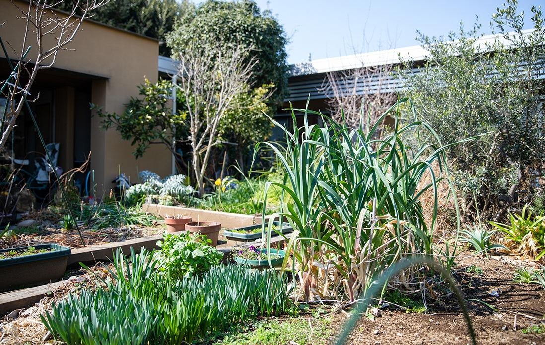 店の目の前の畑