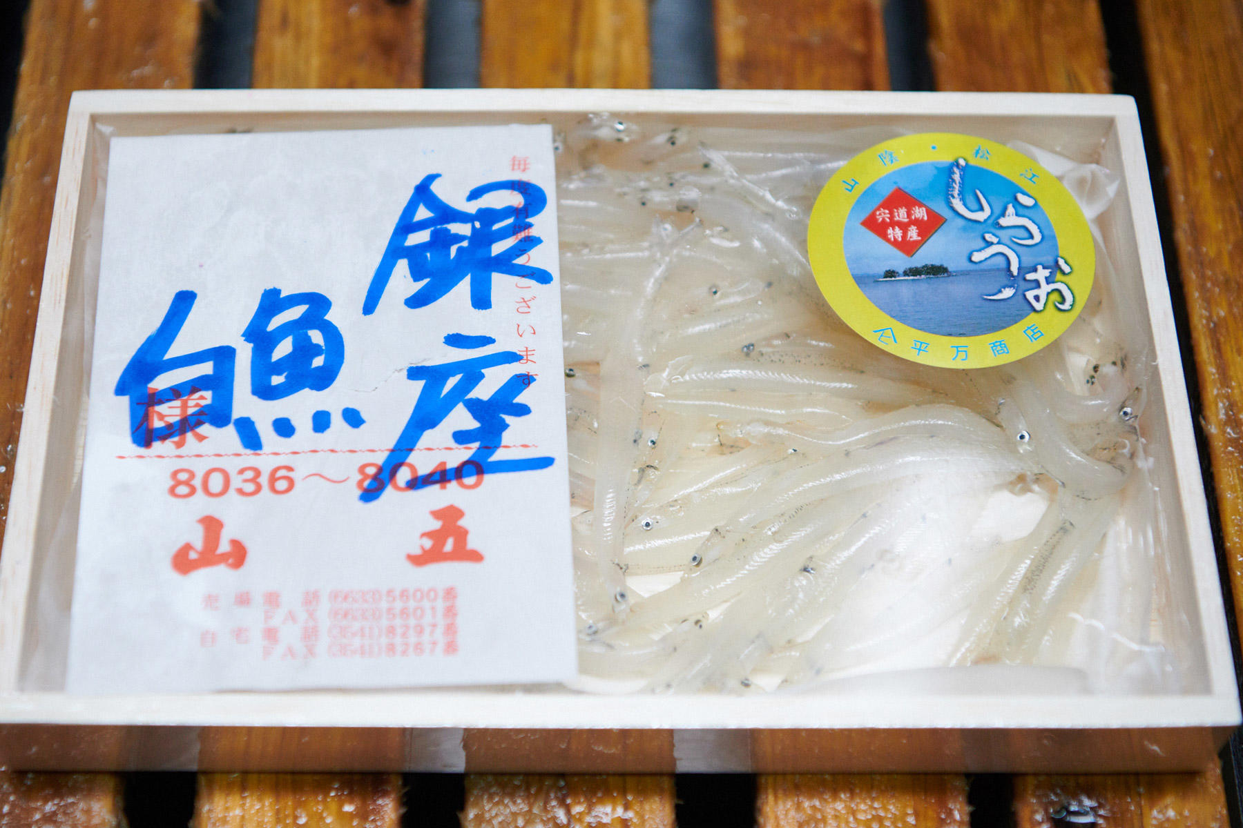 白魚の仕入れは豊洲市場の「山五」から