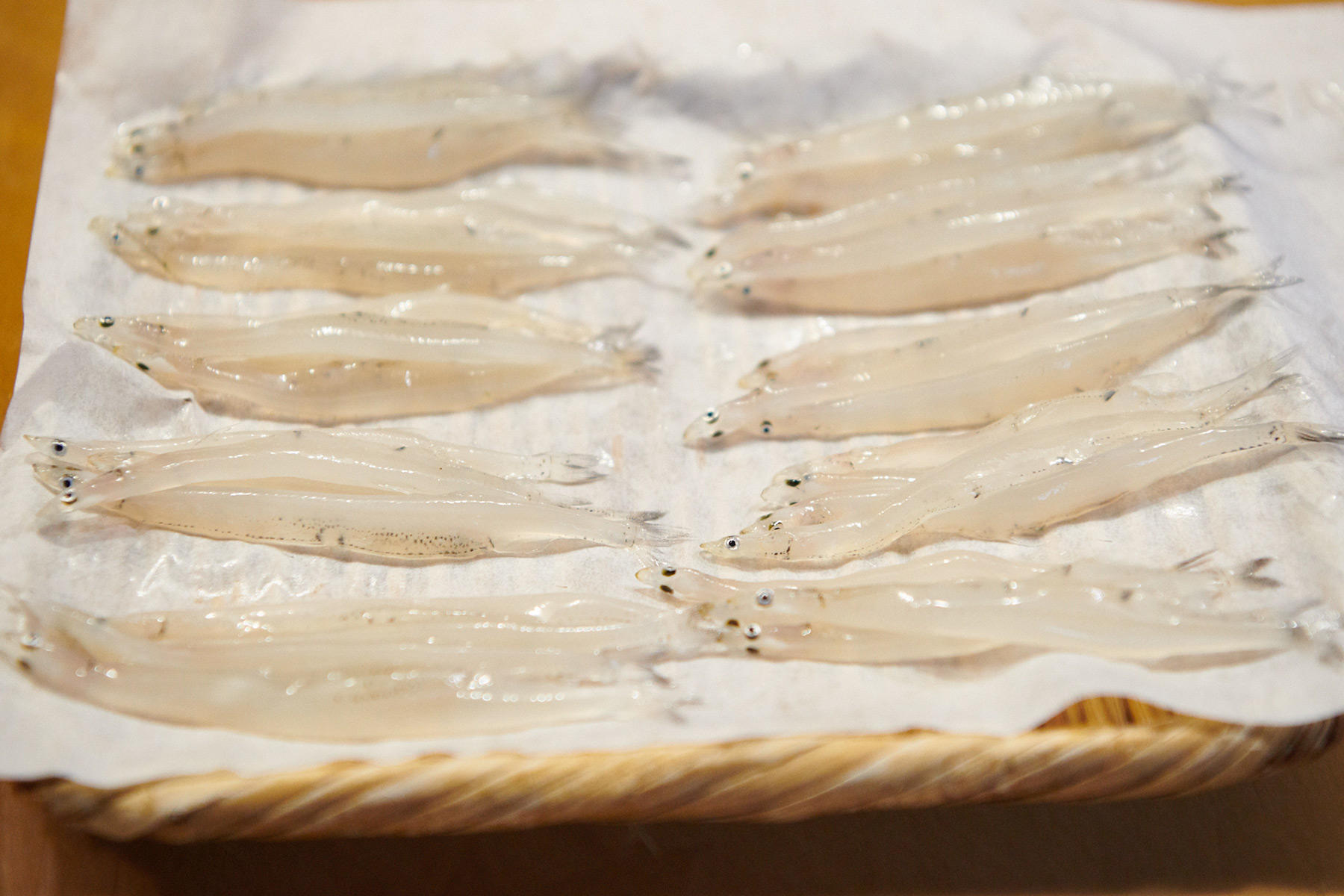 水気を切った白魚を耐水紙に乗せていく