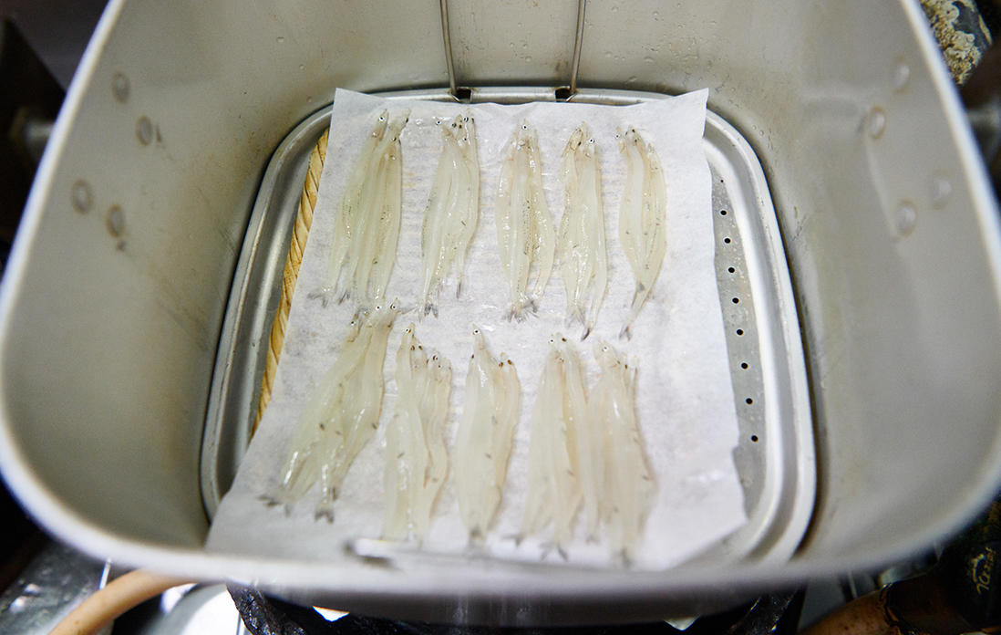 耐水紙に乗せた白魚