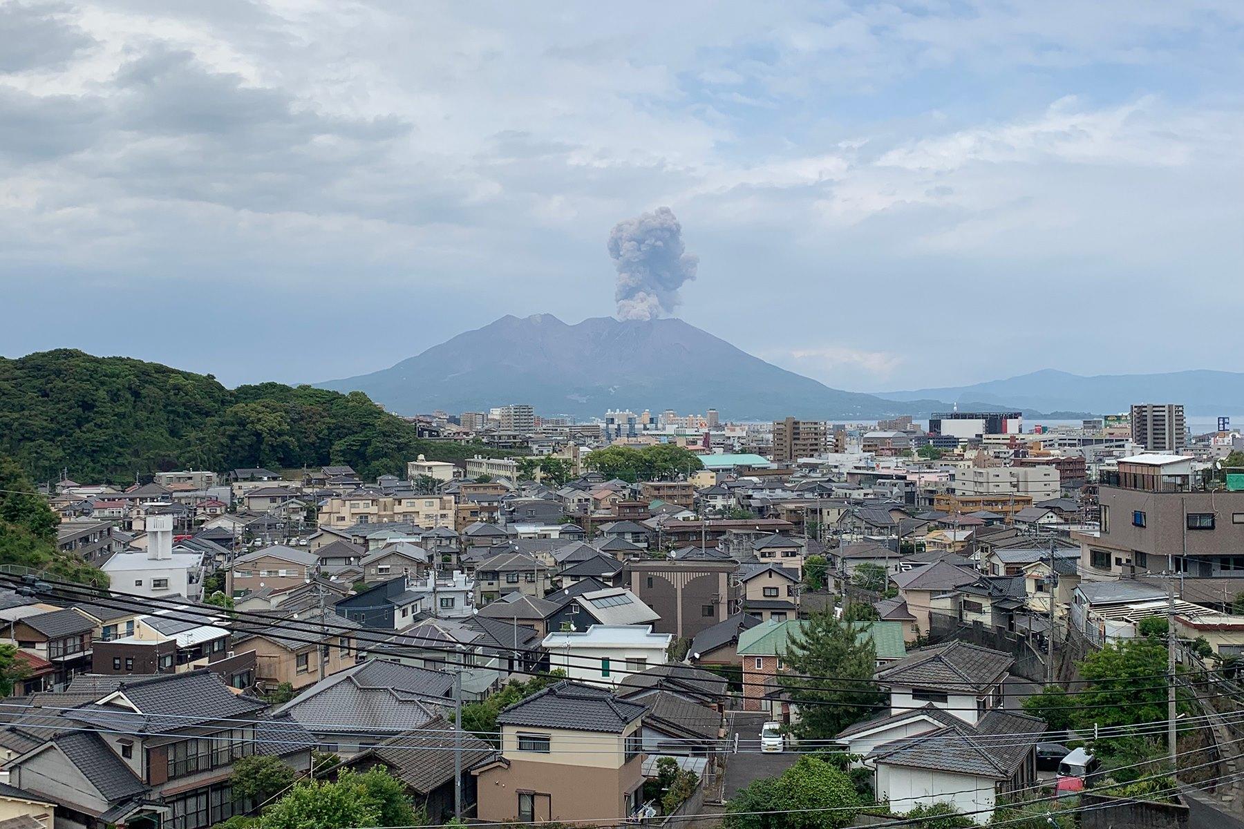 大森さんの写真