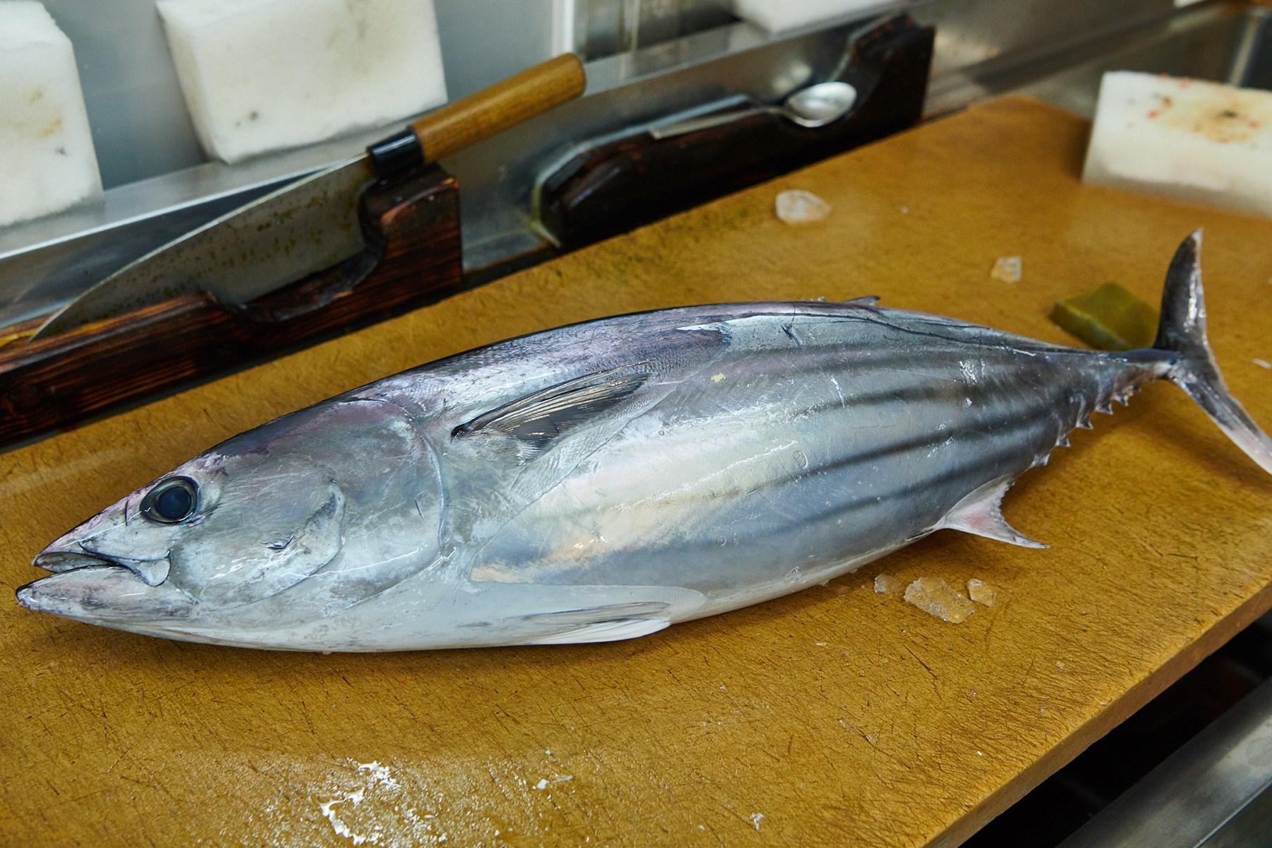 豊洲市場の仲卸「虎勇」で仕入れる、とっておきの初鰹。