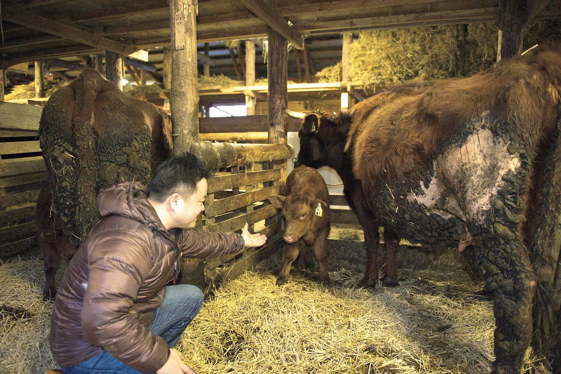 ひつじぐもの第三子は、国産丸に続いてオスだった。草だけを食べさせて育てようと草太郎と名付けた。