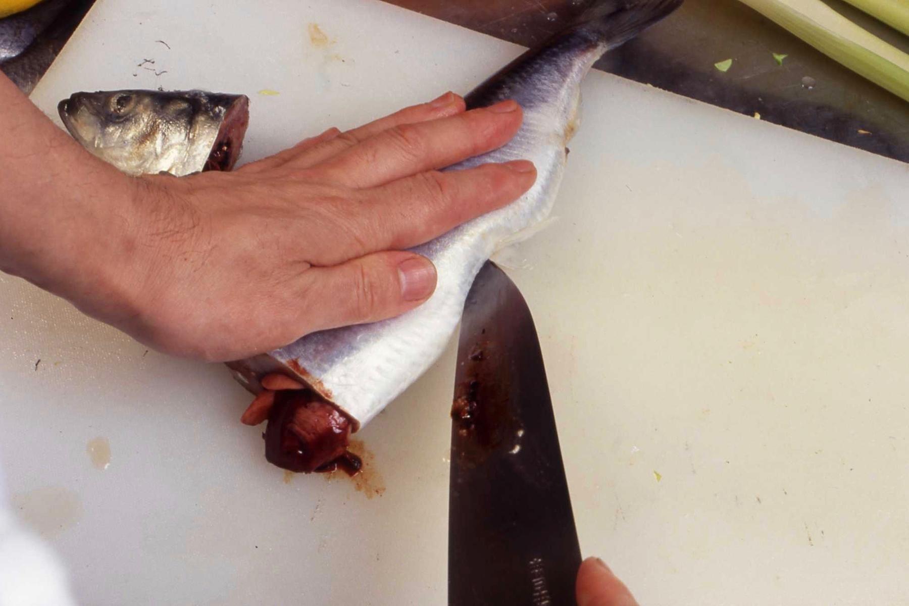 ニシンの頭を落として内臓をきれいに取り除き、3枚におろす。