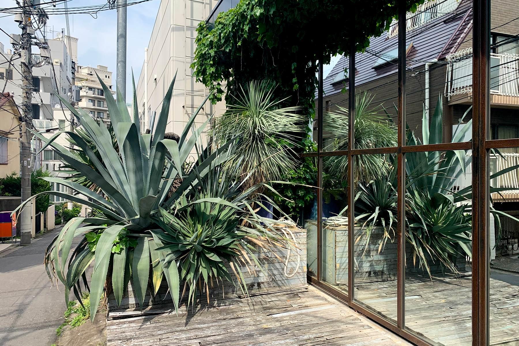 大森さんの写真