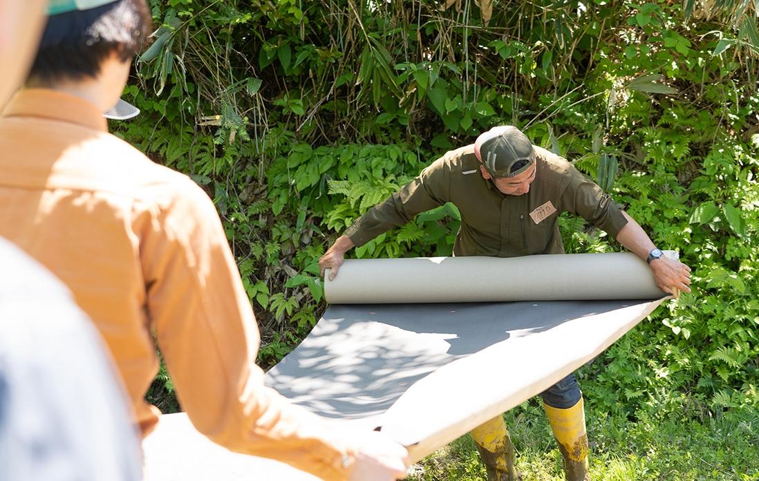 大きな黒い紙を田んぼに広げながら、その上に苗を植えていきます。