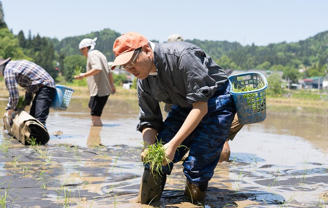 誰もが現地スタッフかと思っていましたが、なんと新潟から参加してくれた読者の方でした。植えるスピードがプロ並み！