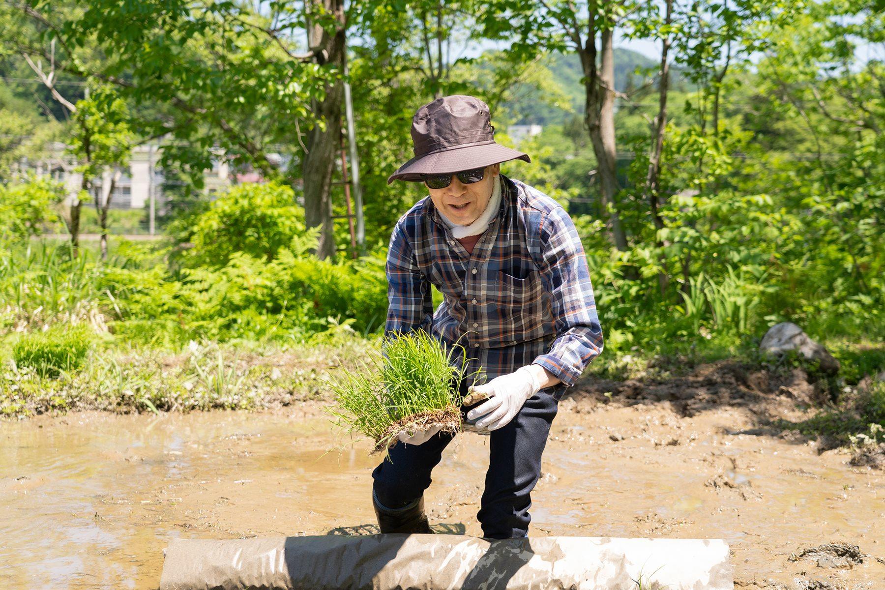 もろもろ新調して、田植えに望んだ藤原智美さん。まさか真夏日になるとは予想は出来なかった……。