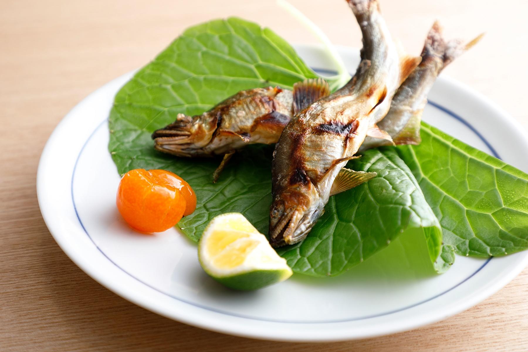 店主曰く、「活きのいい鮎は、シンプルに塩焼きにするのがいちばん。頭から尾まですべてを味わってください」。