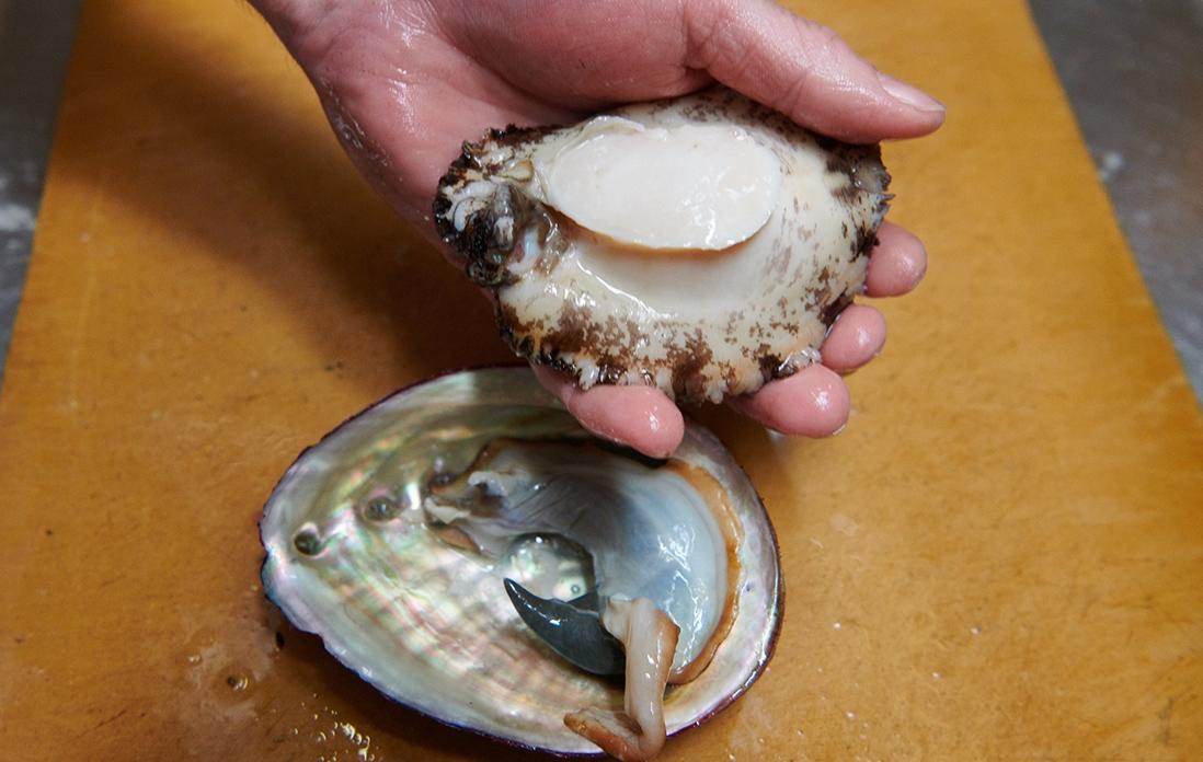 肝をよけ、外した鮑をさらにたわしで磨いていく。