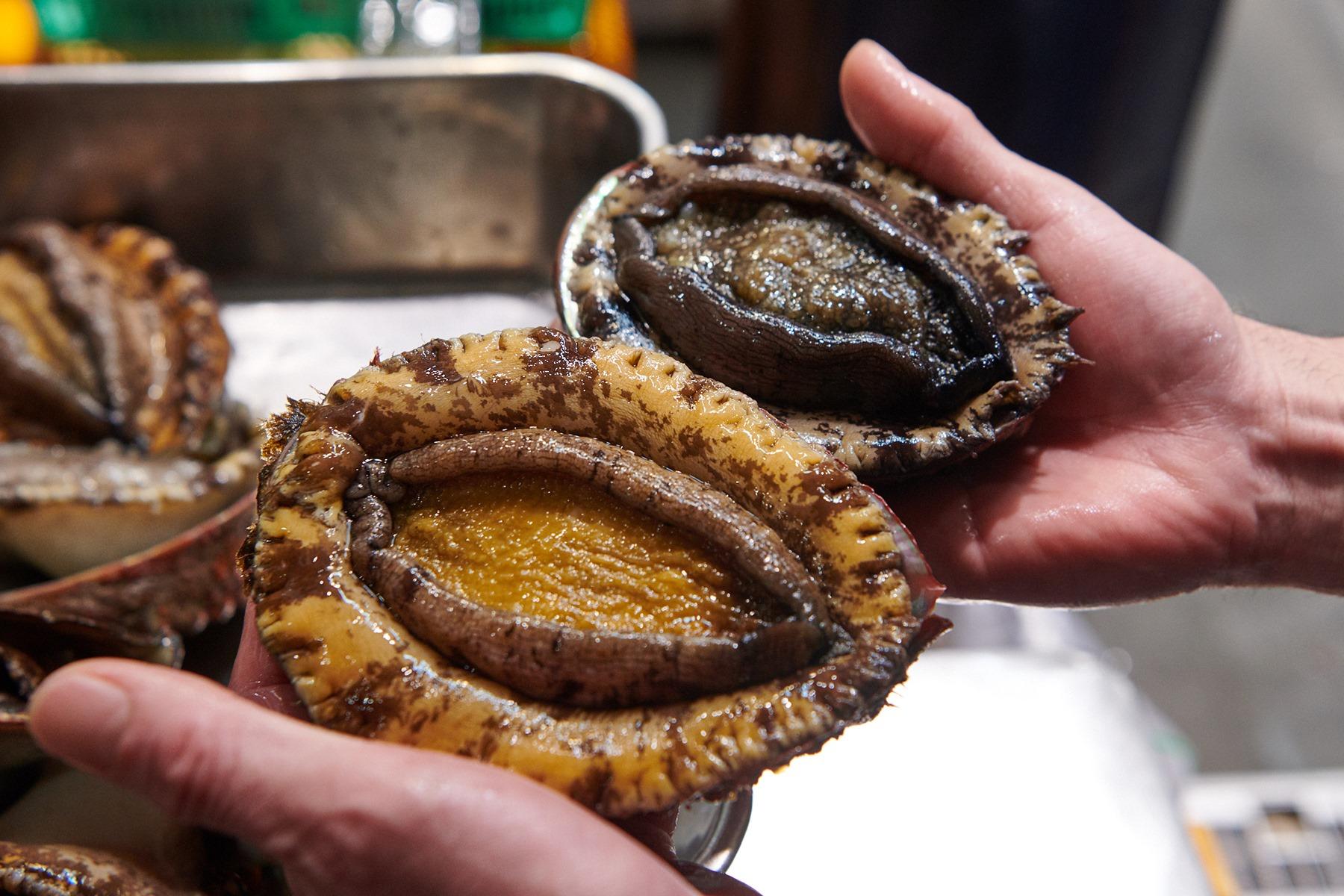 右が天然の黒鮑。左が幻ともいわれる希少なマダカ鮑で、色が黄色っぽく、ひと際大きく、丸みを帯びた形をしている。