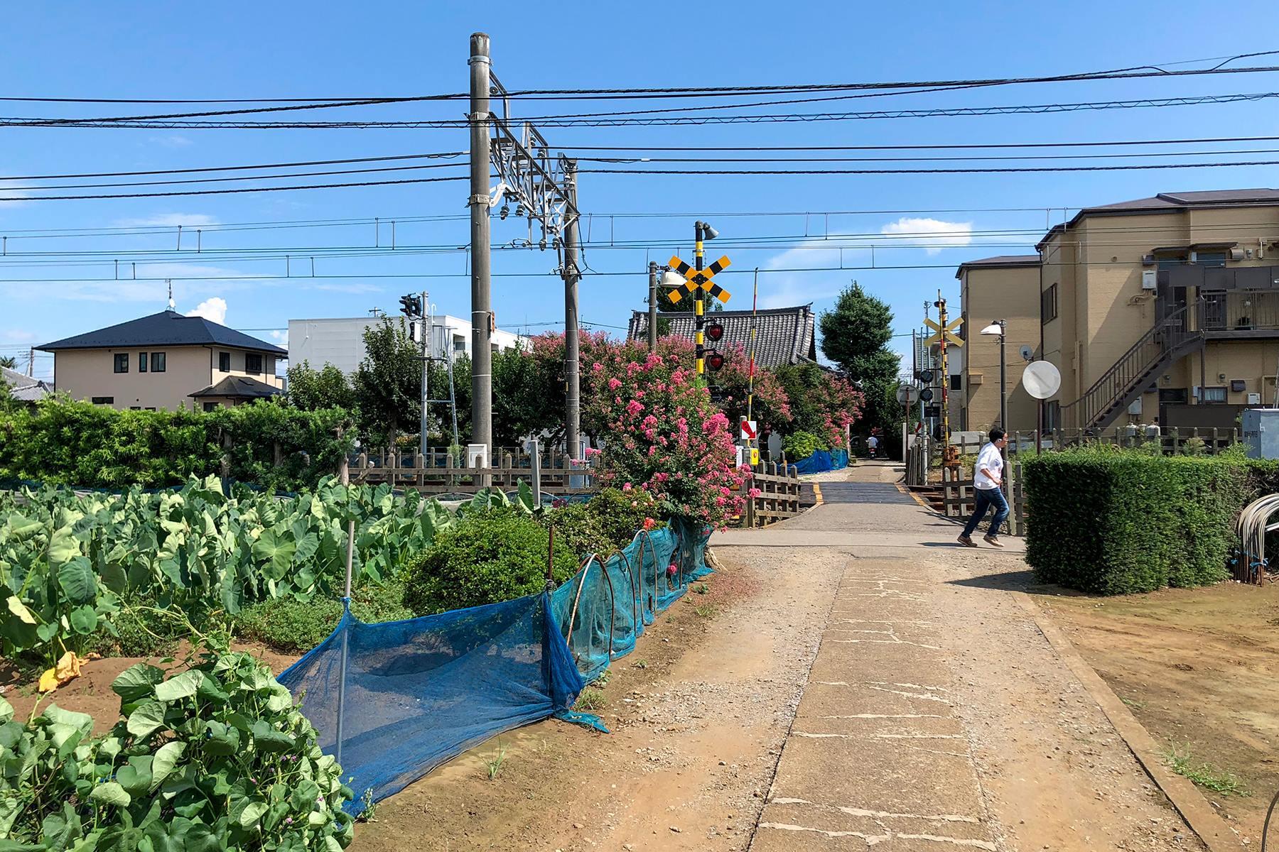 大森さんの写真