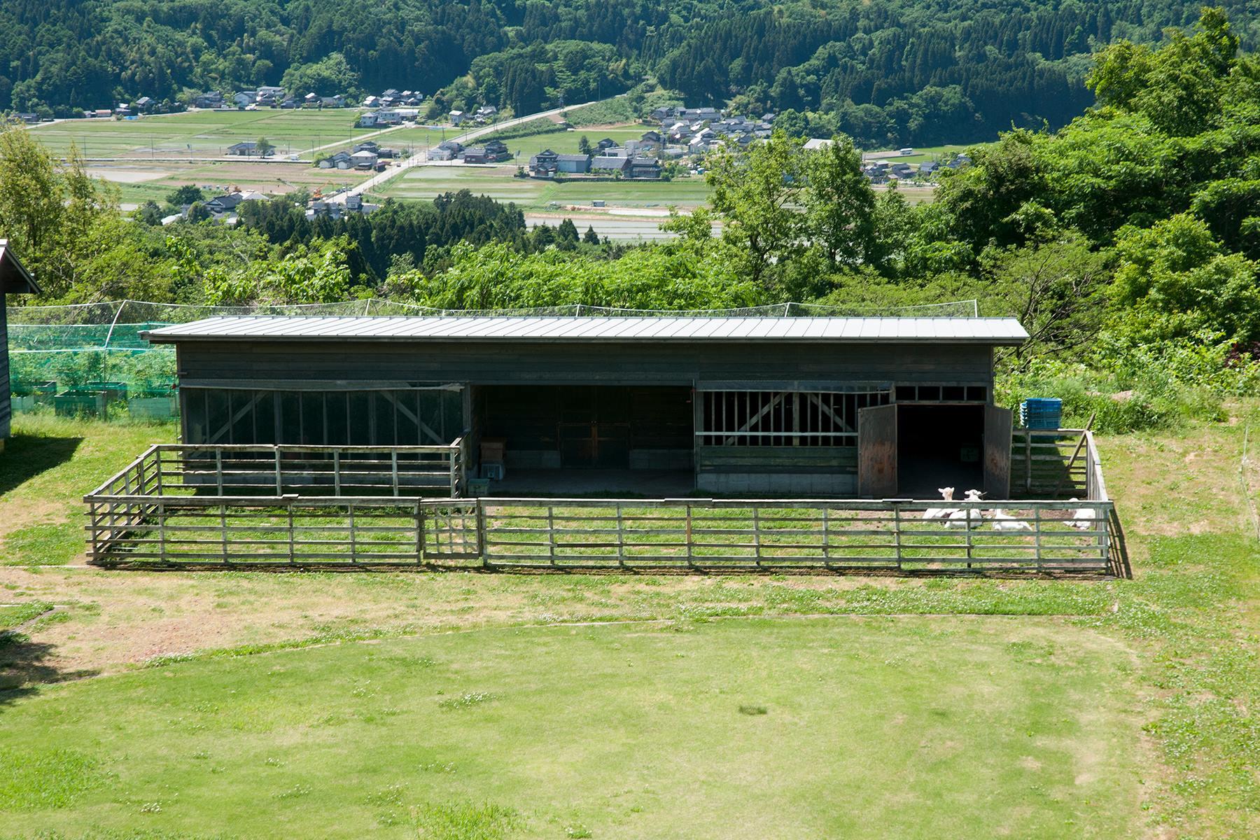 長屋スタイルの鶏小屋とヤギ小屋。産みたての卵はレストランの料理に使われるほか、ショップで販売されることも。