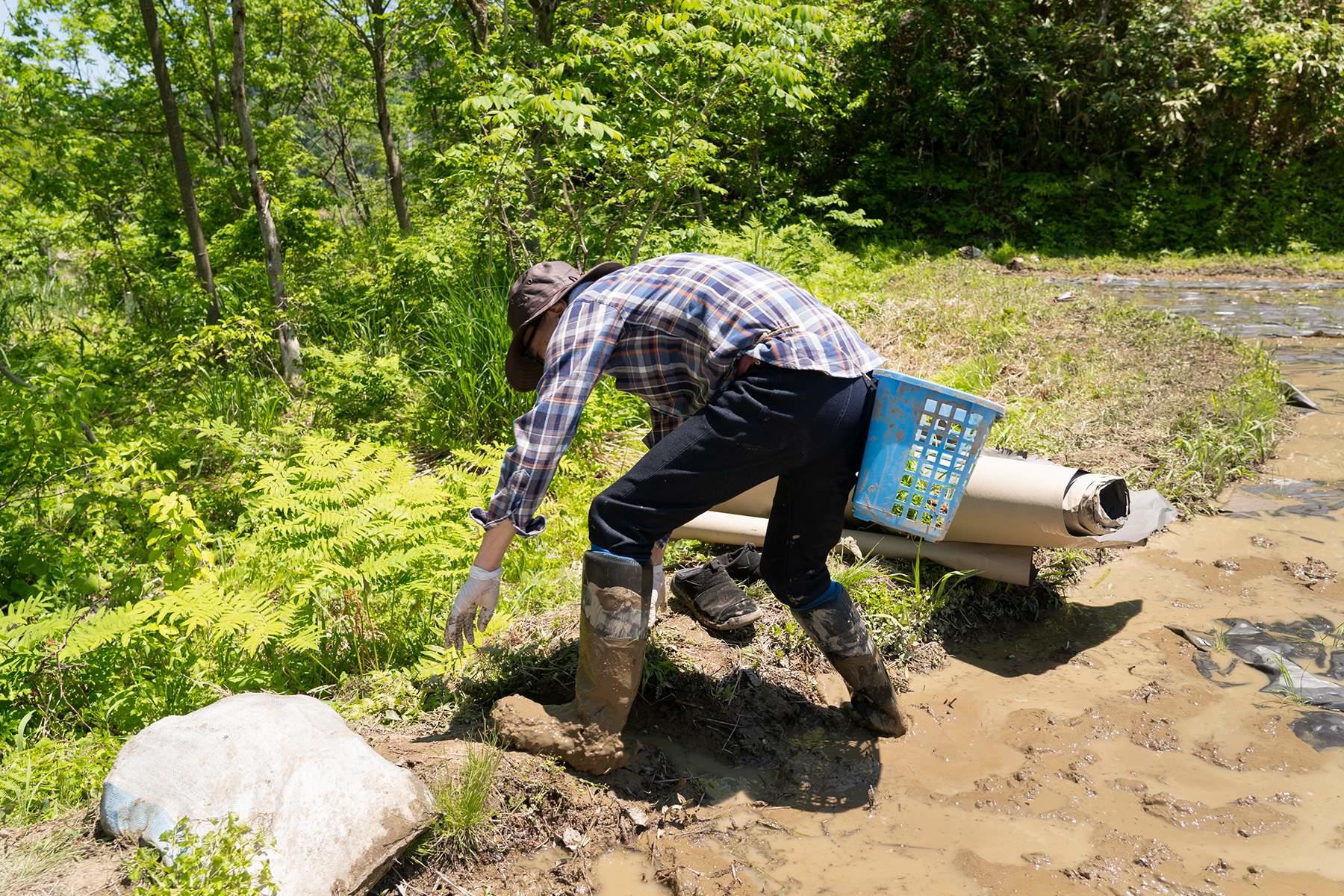 ずっと腰を屈めて、自由に動き回れない泥の中で田植えをしていると、足にくる、腰にくる。畦に上がるのだって、実は大仕事。