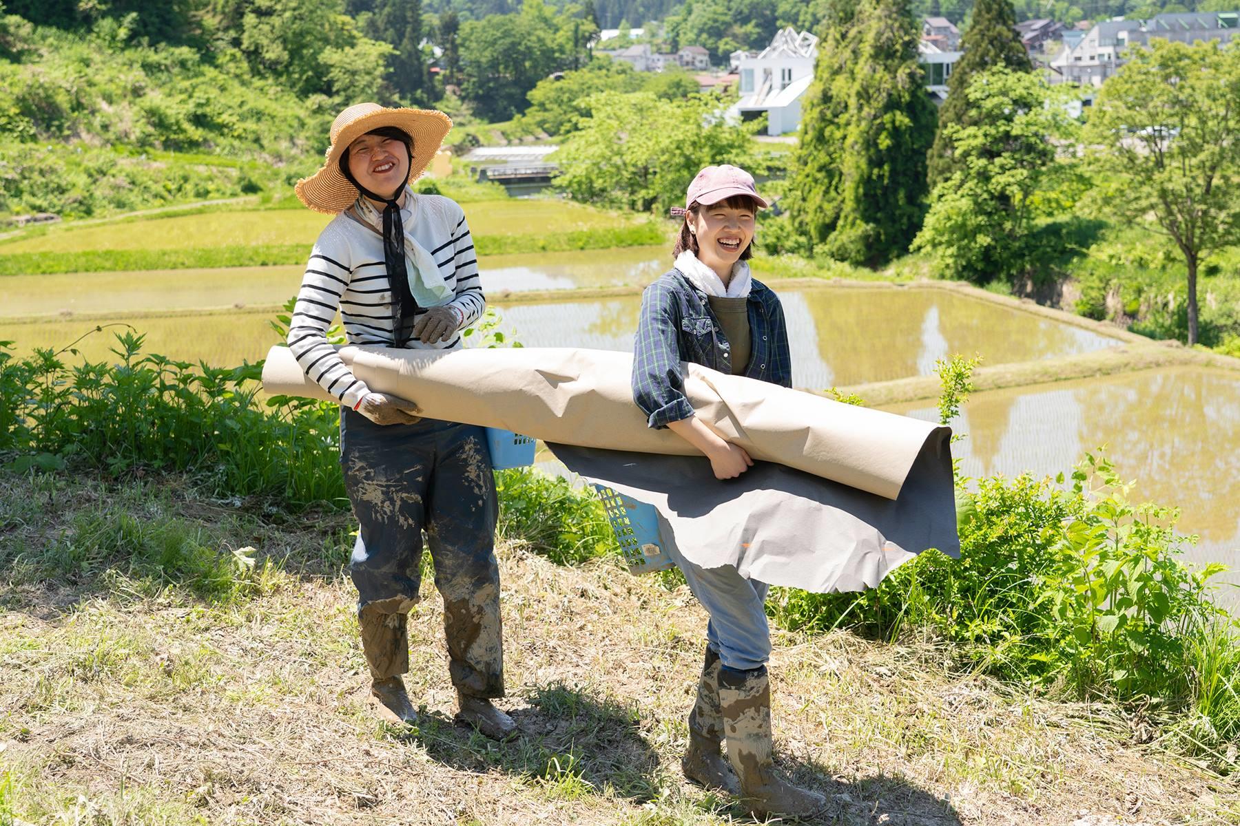 若者たちは田植えを楽しんでいた。助け合って、笑い合って、和やかに青空の下、自然と戯れながら。