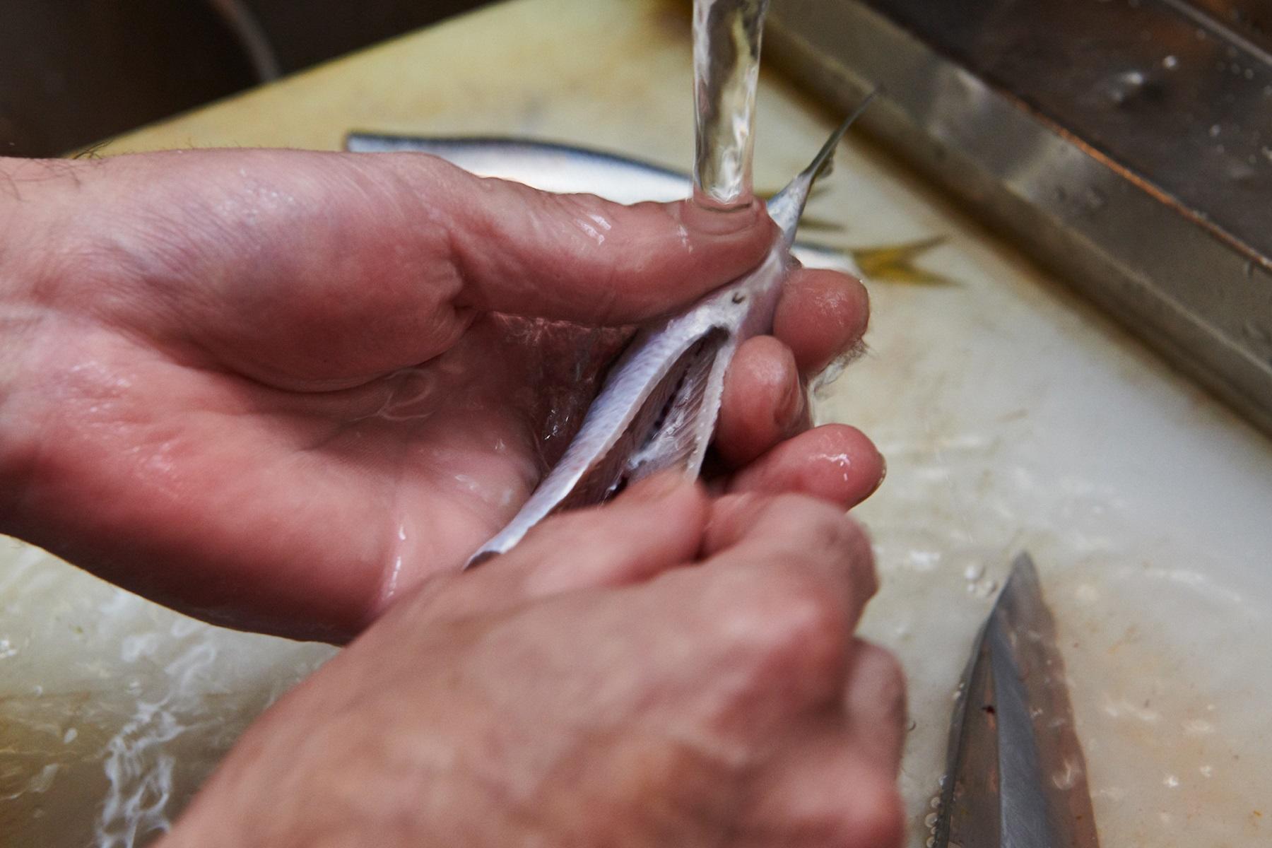 「㐂寿司」が選ぶのは、1尾15cm前後のもの。