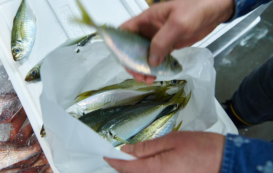 自らの手で選っていく。「理想は島根産です」と一浩さん。