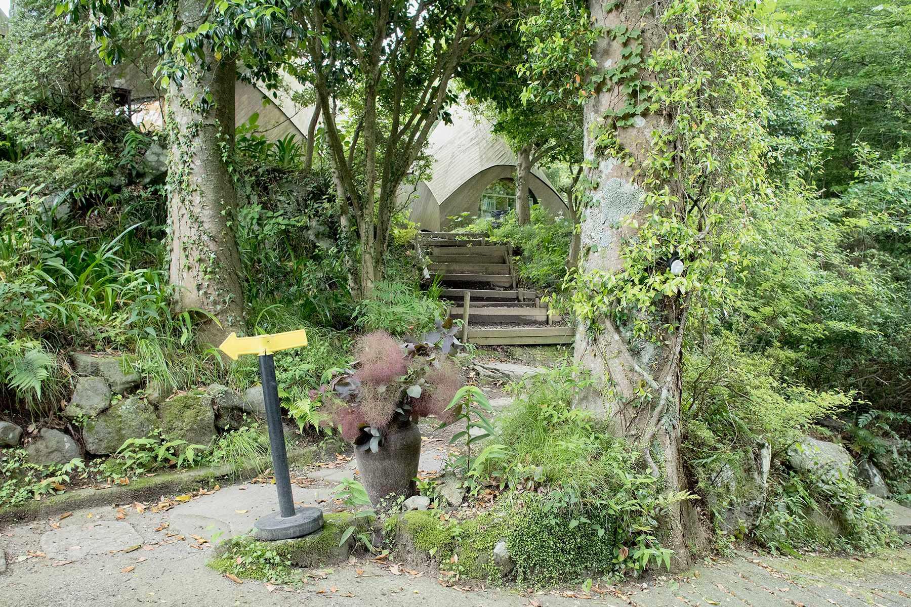 エントランスから建物にたどり着くまでの道もちょっとしたもの。林の中をくぐり抜け、想像を膨らませながら進むと、きっと期待を超える景色が待っている。