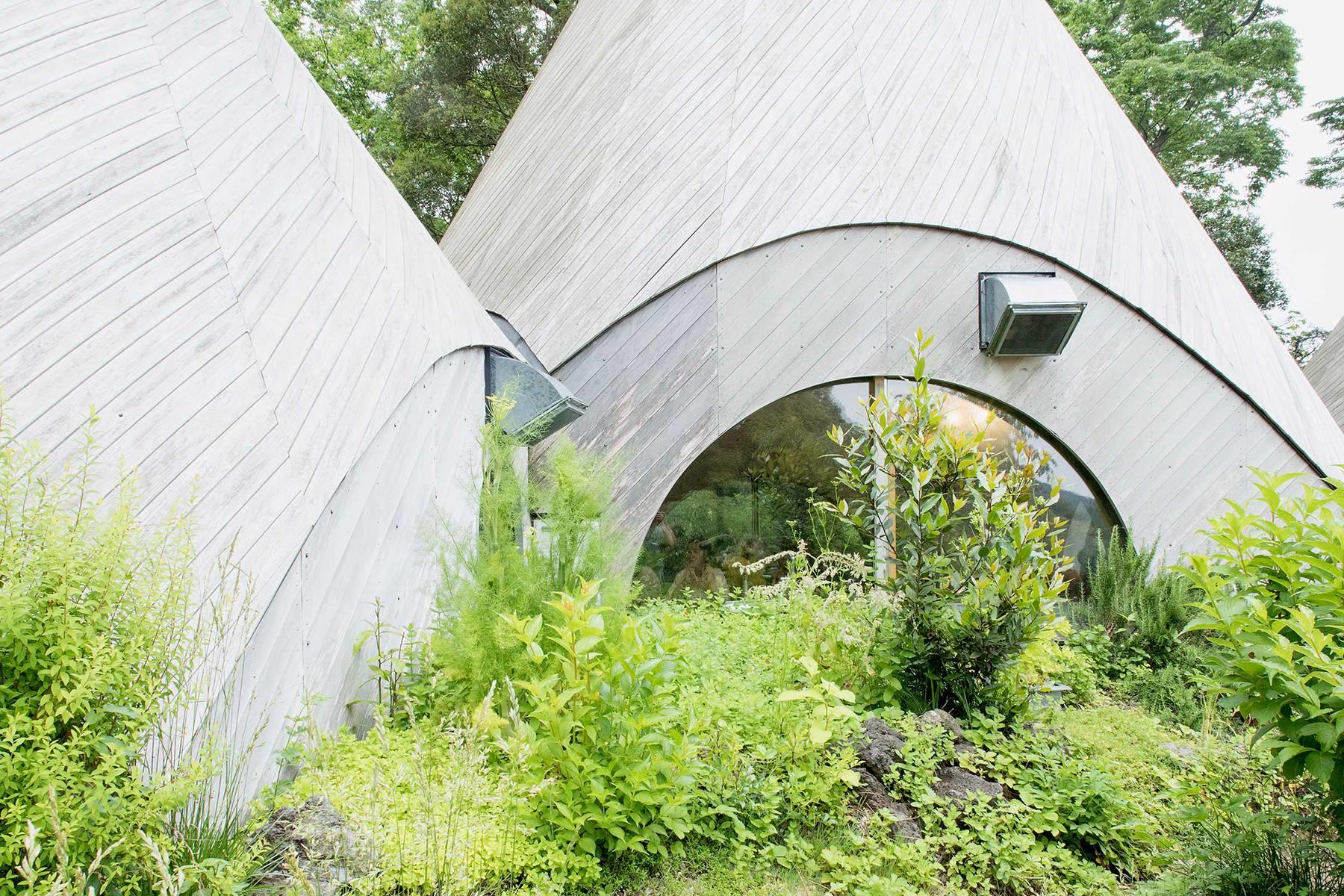 鬱蒼と茂るキッチンガーデン。近くに行ってハーブたちに触れると、力強い香りがした。