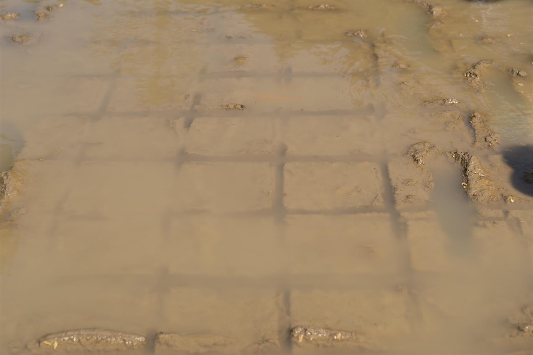 枠植え前の田んぼ。木枠を泥の中に押し込むことで、四角い枠をつくる。枠に沿って苗を植えていけば、等間隔に苗が並ぶというわけ。