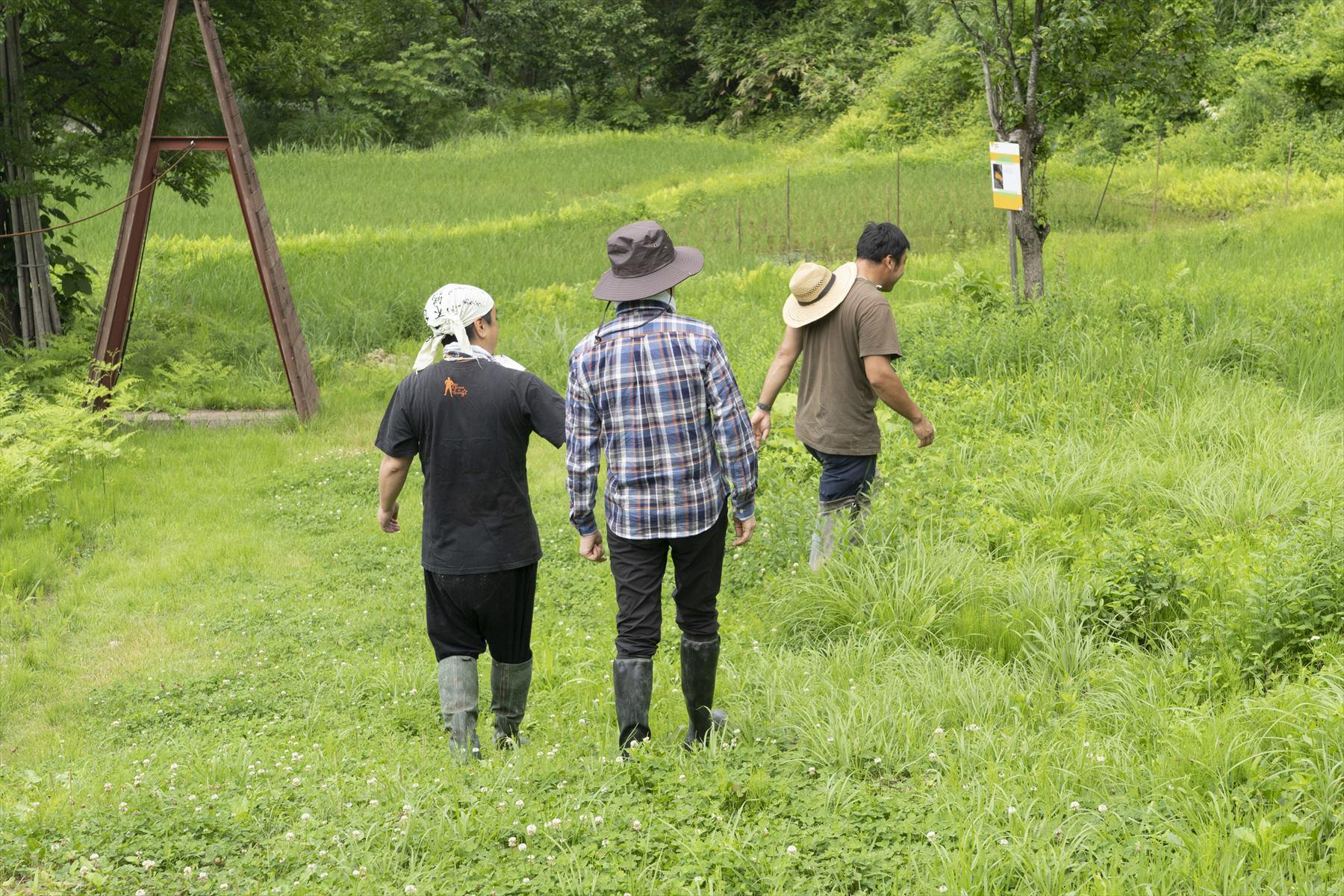 1ヶ月ちょっと前、みんなでおいしいお昼ごはんを食べた場所には、ふさふさと緑の雑草たちが生い茂っていた。