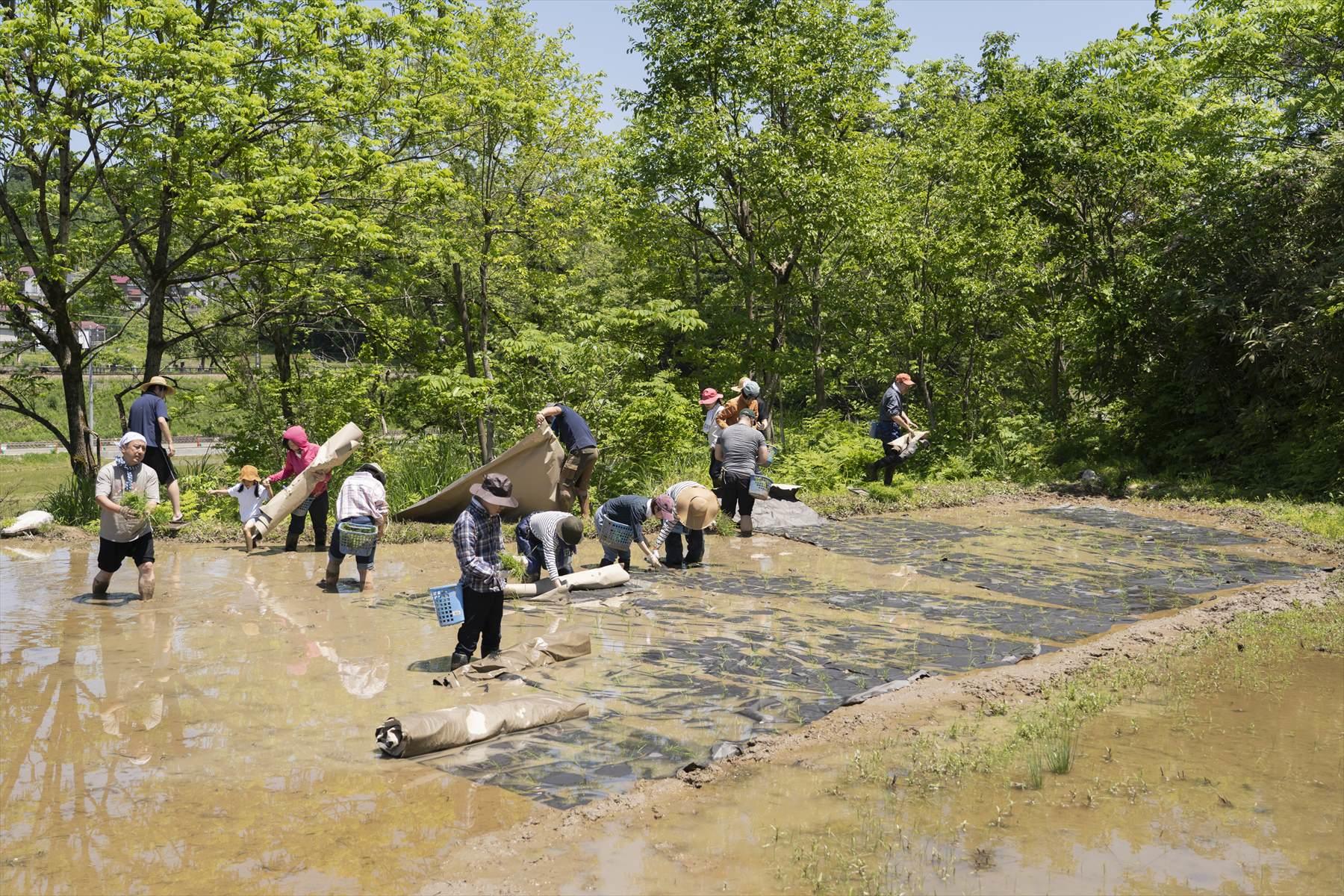 5月25日。田植えのときは、こんな感じ。