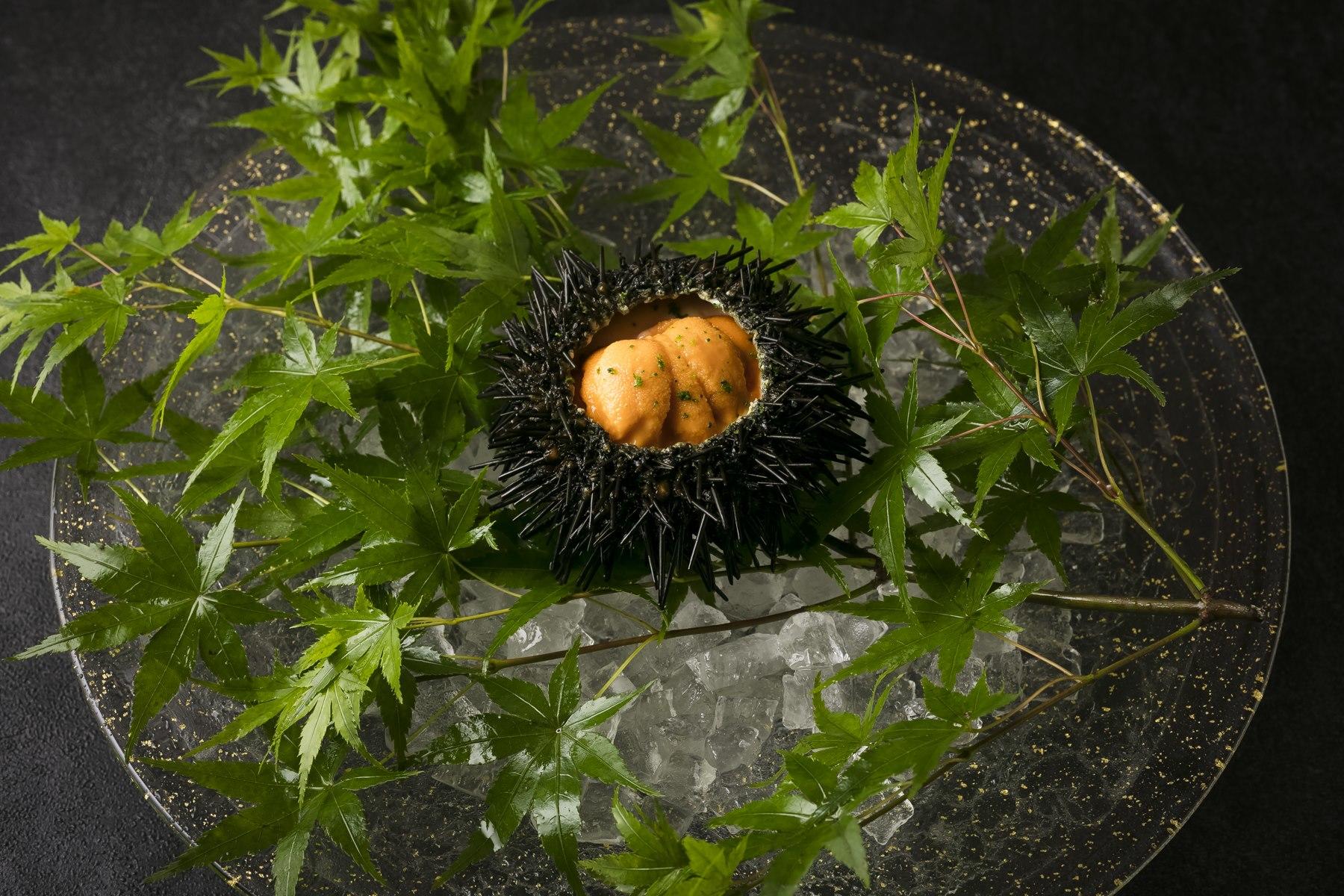 6月の付出しは「殻付き雲丹　とうもろこしアイス」だった。