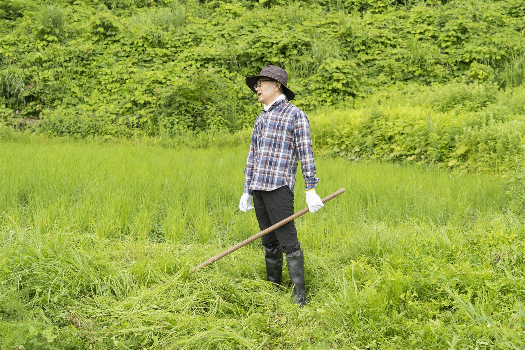 鎌が大きくなって楽勝かと思いきや、気がつけば肩で息をする始末。草刈りはしんどいのだ。