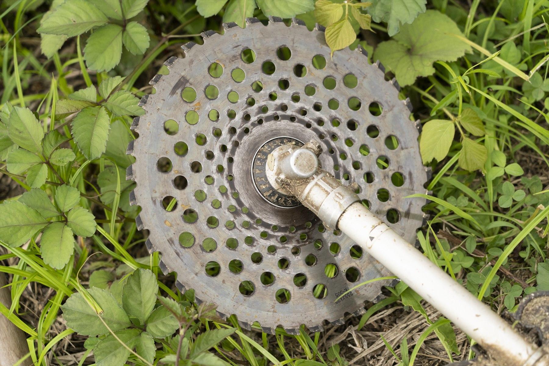 草刈りの秘密兵器、通称ビーバー。ぐるぐるぐるっと回って、草を刈り、払っていく。