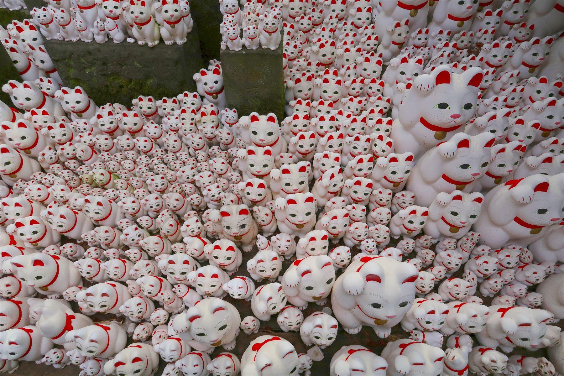 招き猫の奉納所