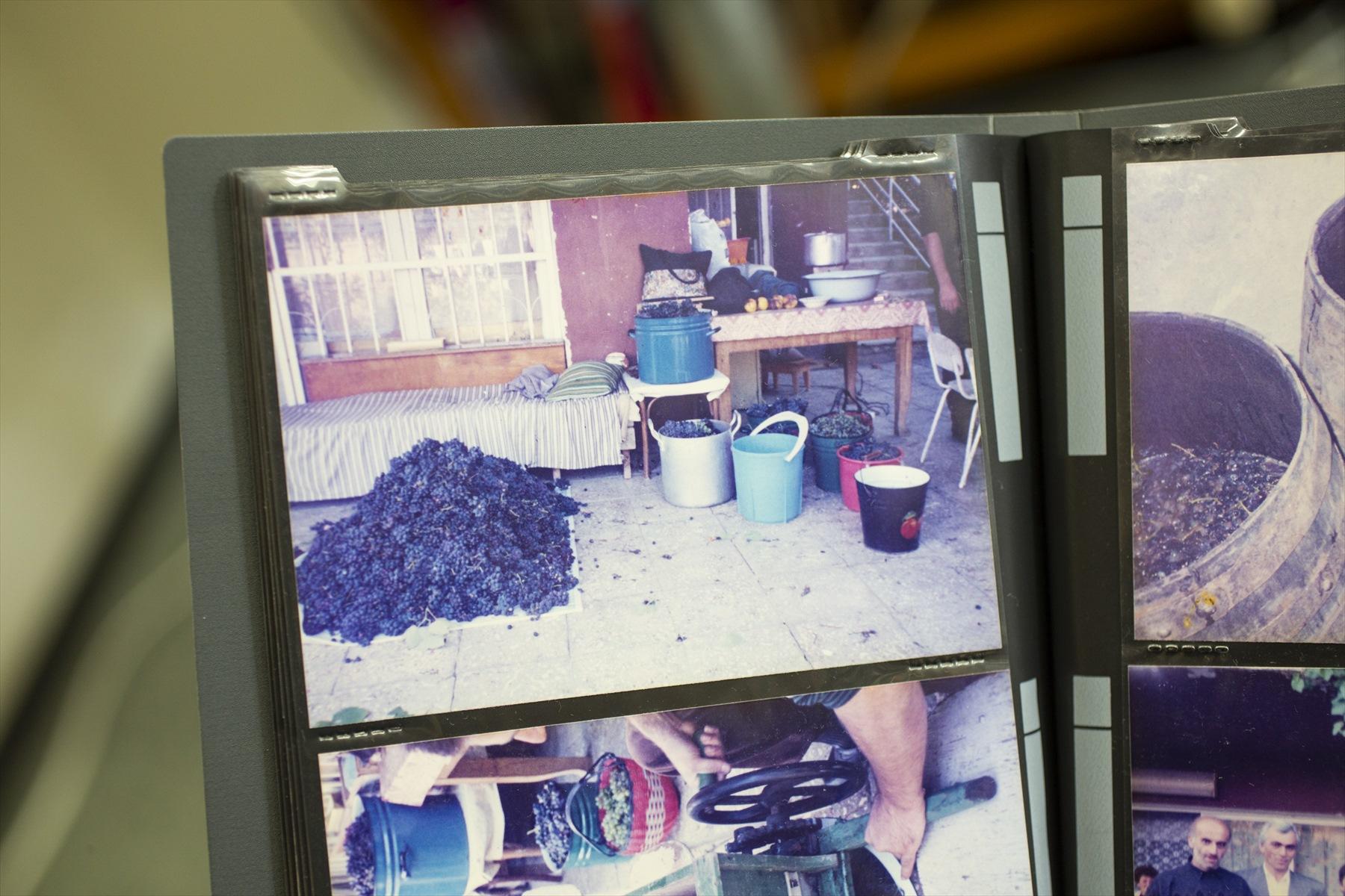 ワイン造りの様子