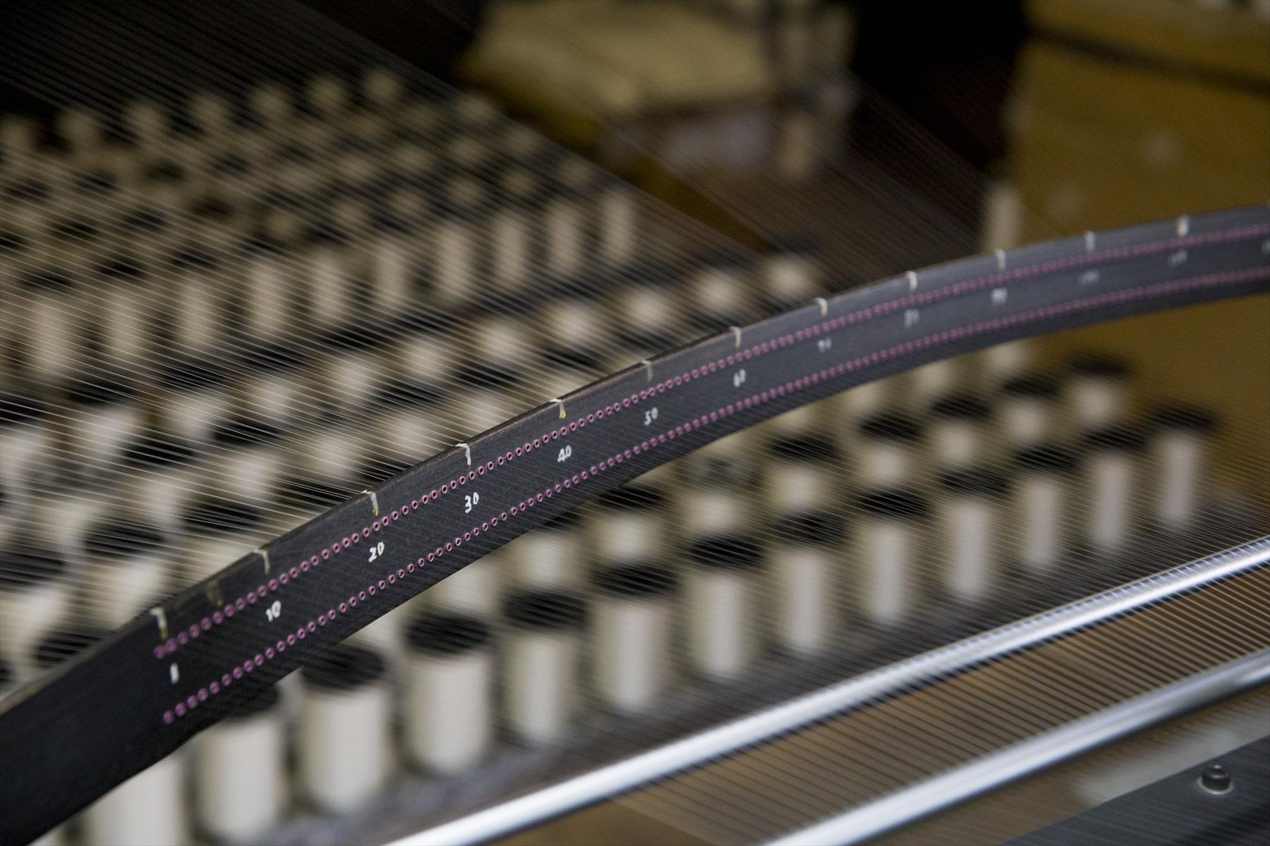 大森さんの写真